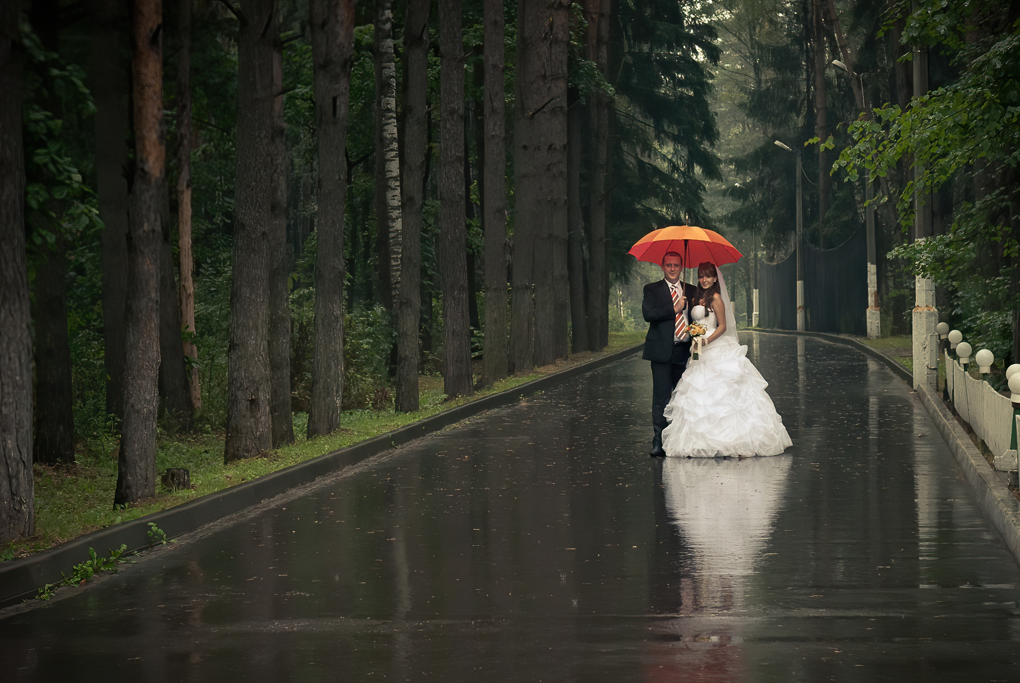 жених и невеста под оранжевым зонтом на мокром асфальте в соснах зоне отдыха