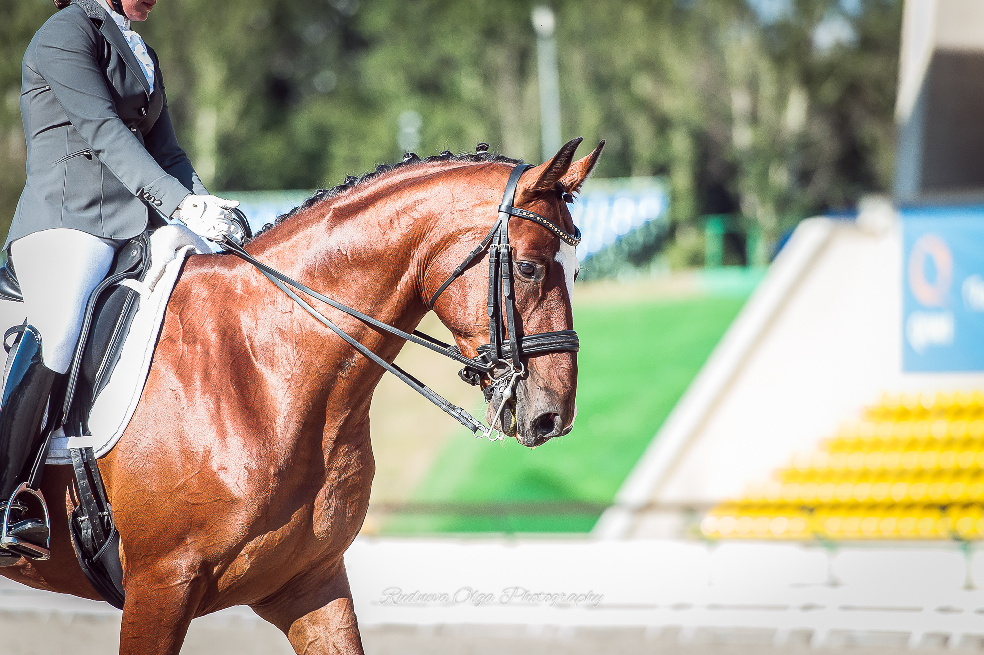 Лошади. ТУРНИРНАЯ КОННАЯ ФОТОГРАФИЯ, Руднева Ольга и Евгений Адеев