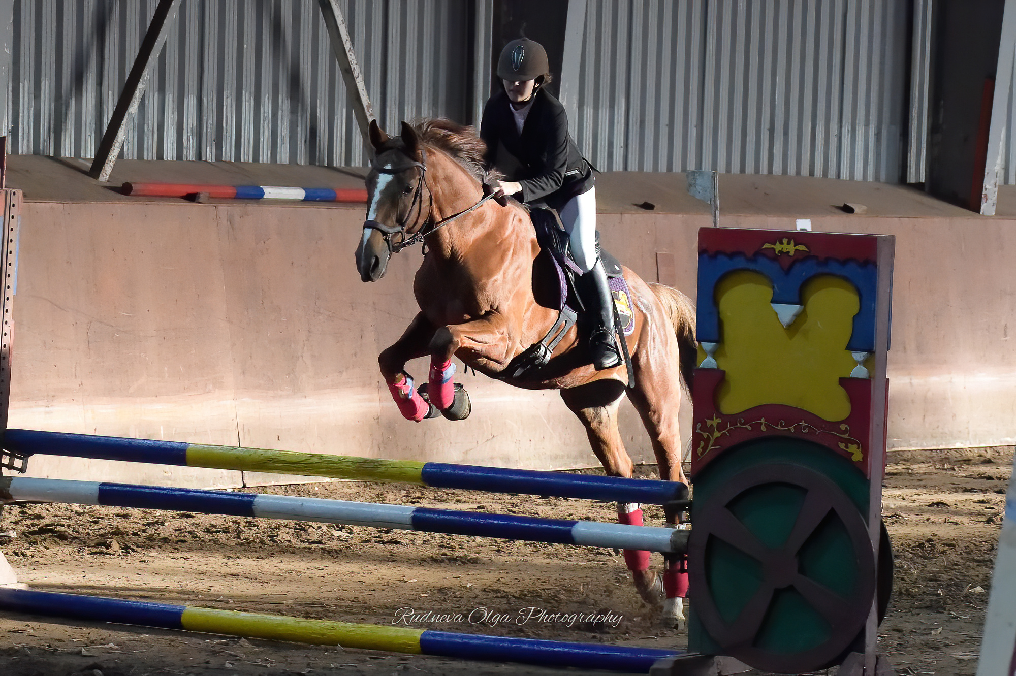 Конкур. Девушка на рыжей лошади прыгает через препятствие, вид  сбоку