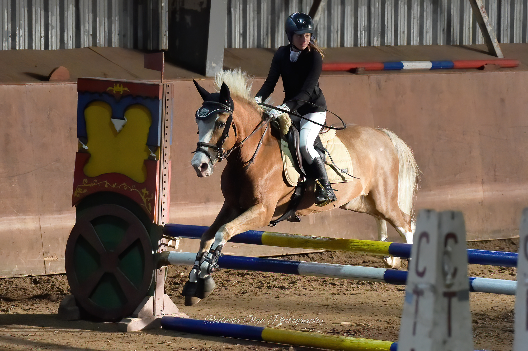 Конкур. Девушка на лошади прыгает через препятствие, вид сбоку
