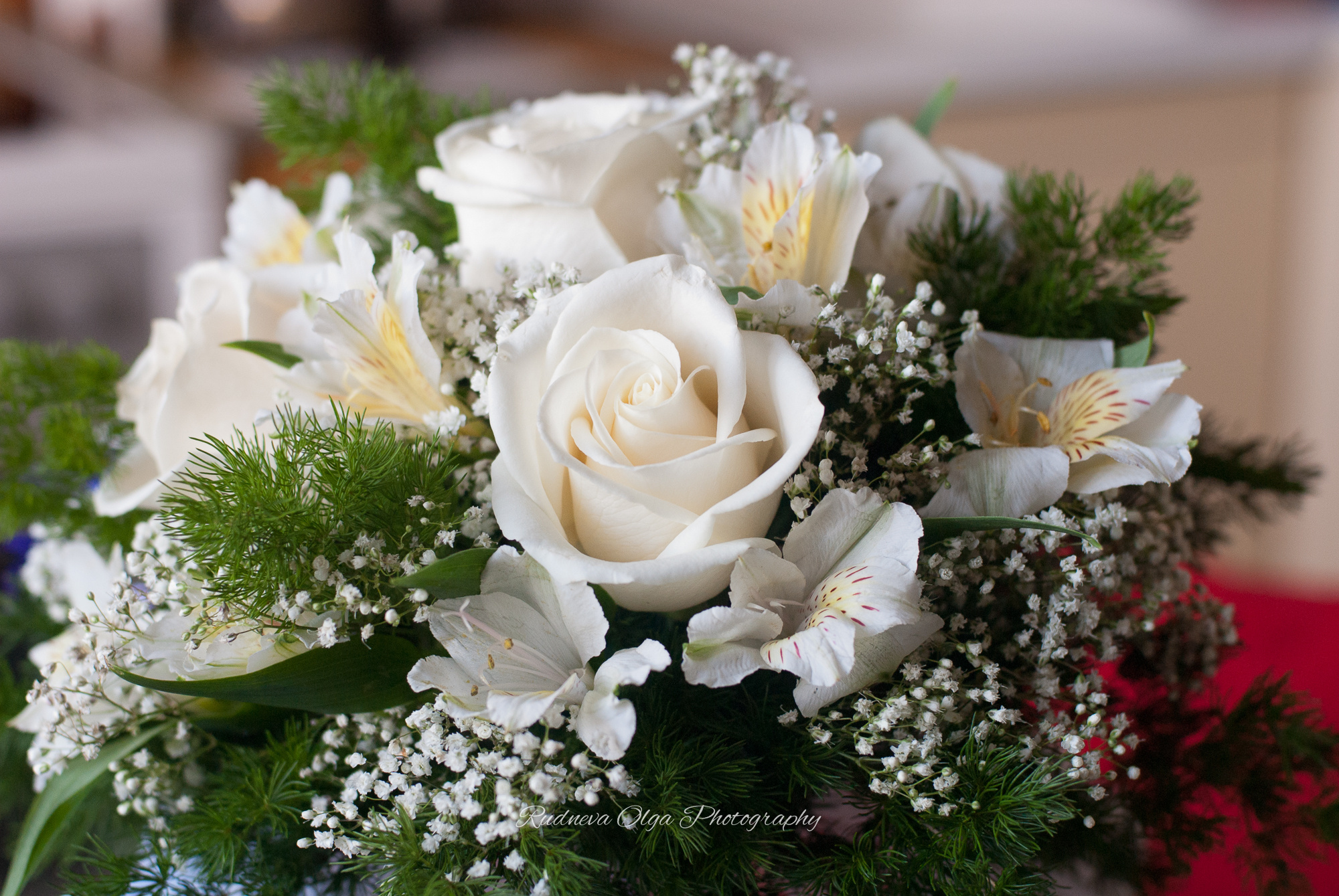 Свадьбы. ТУРНИРНАЯ КОННАЯ ФОТОГРАФИЯ, Руднева Ольга и Евгений Адеев