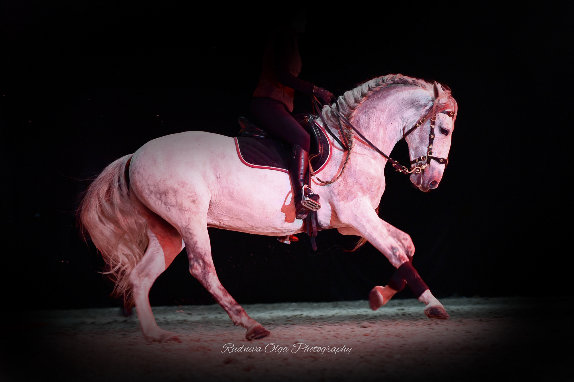 Лошади. ТУРНИРНАЯ КОННАЯ ФОТОГРАФИЯ, Руднева Ольга и Евгений Адеев