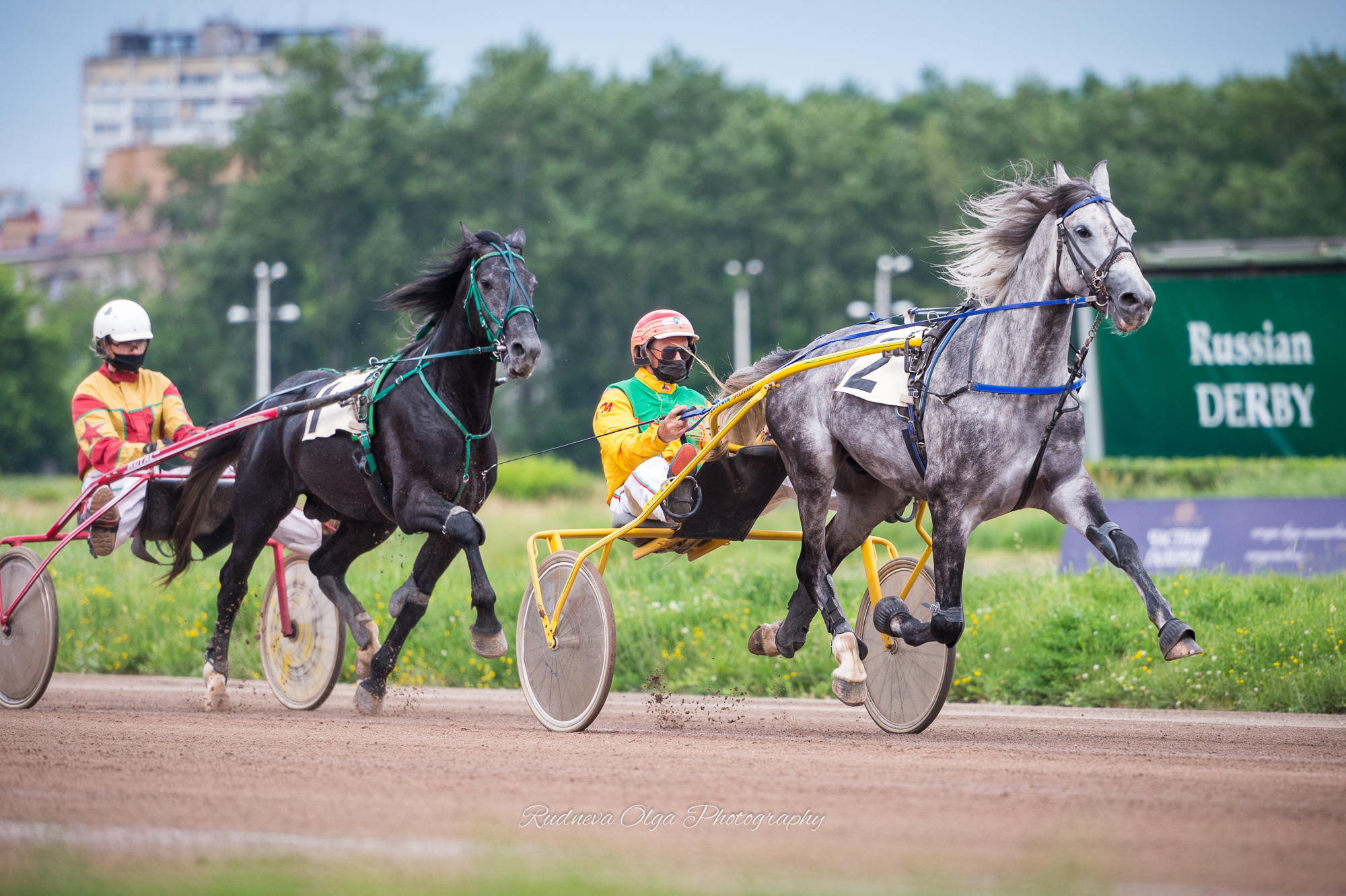 рысаки бегут по Центральному Московсом Ипподрому