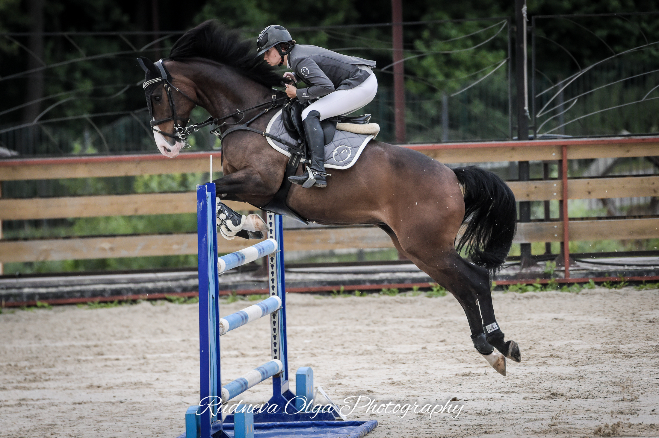 2020-07-17/19. Чемпионат МО по конкуру. Москва КСК «ВИВАТ, РОССИЯ!». ТУРНИРНАЯ КОННАЯ ФОТОГРАФИЯ, Руднева Ольга и Евгений Адеев