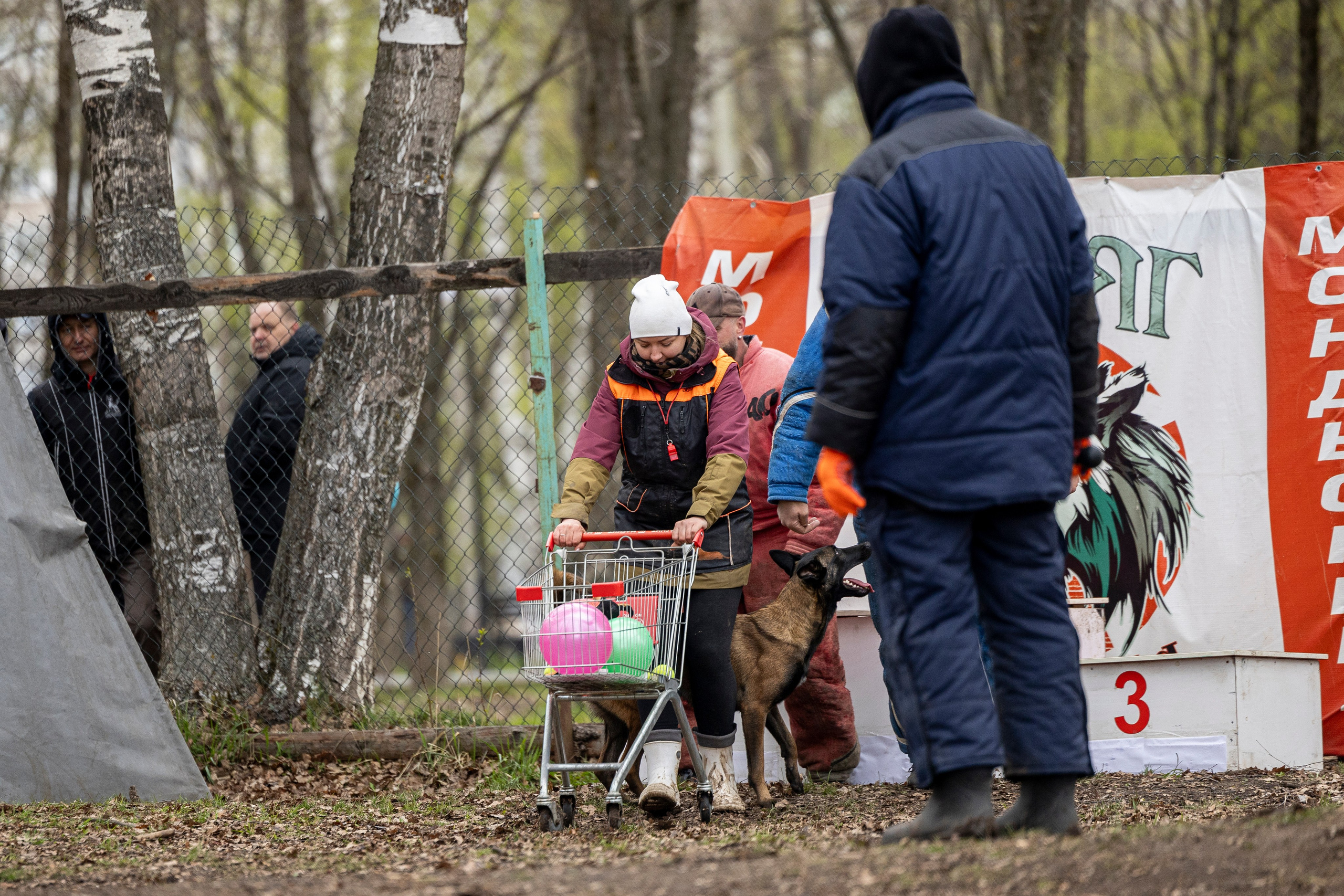 Квалификационные состязания по мондьорингу г. Вологда 11.05.24. Фотограф-анималист Анна Маринич