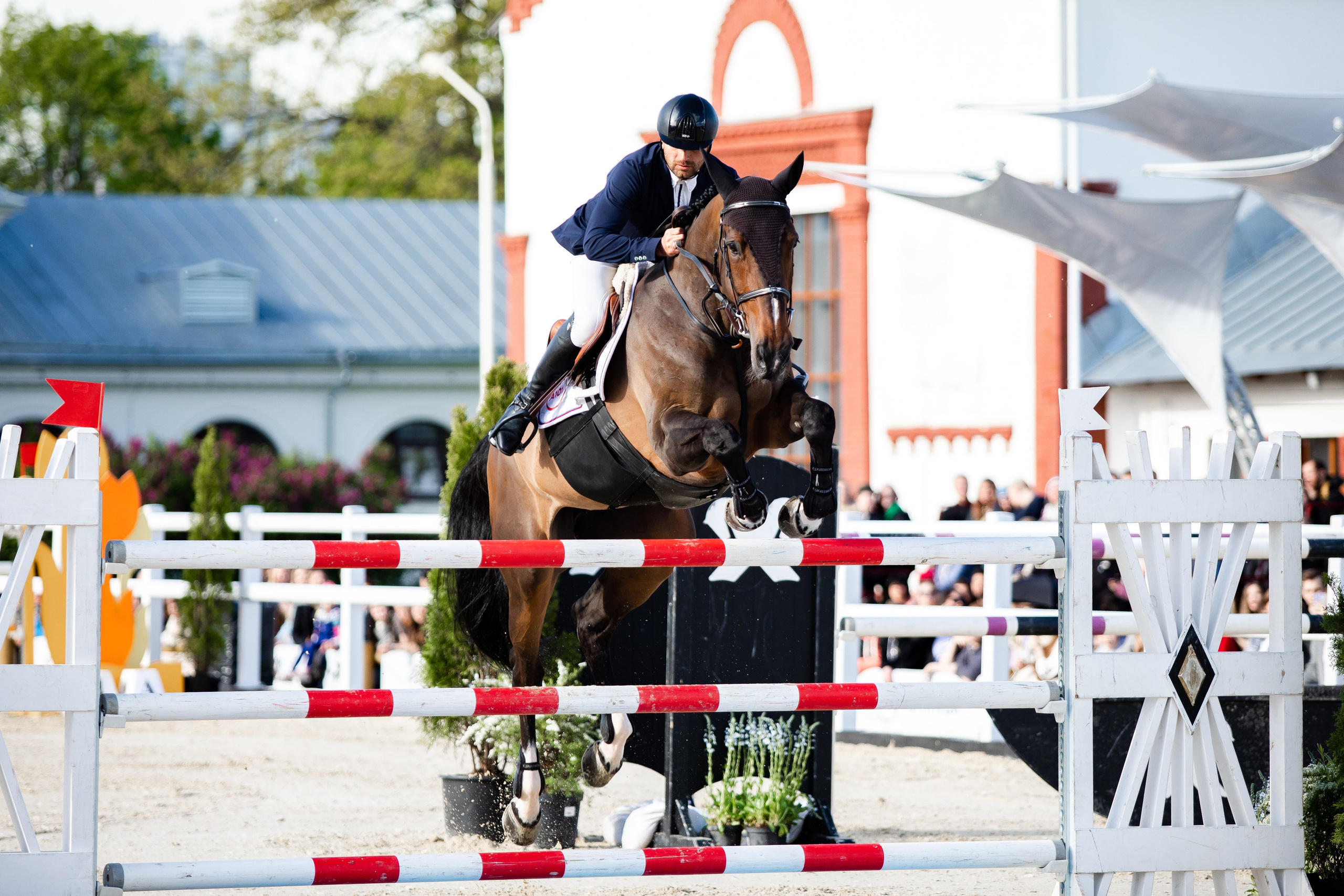 Турниры. Veronika Makeeva horse photo