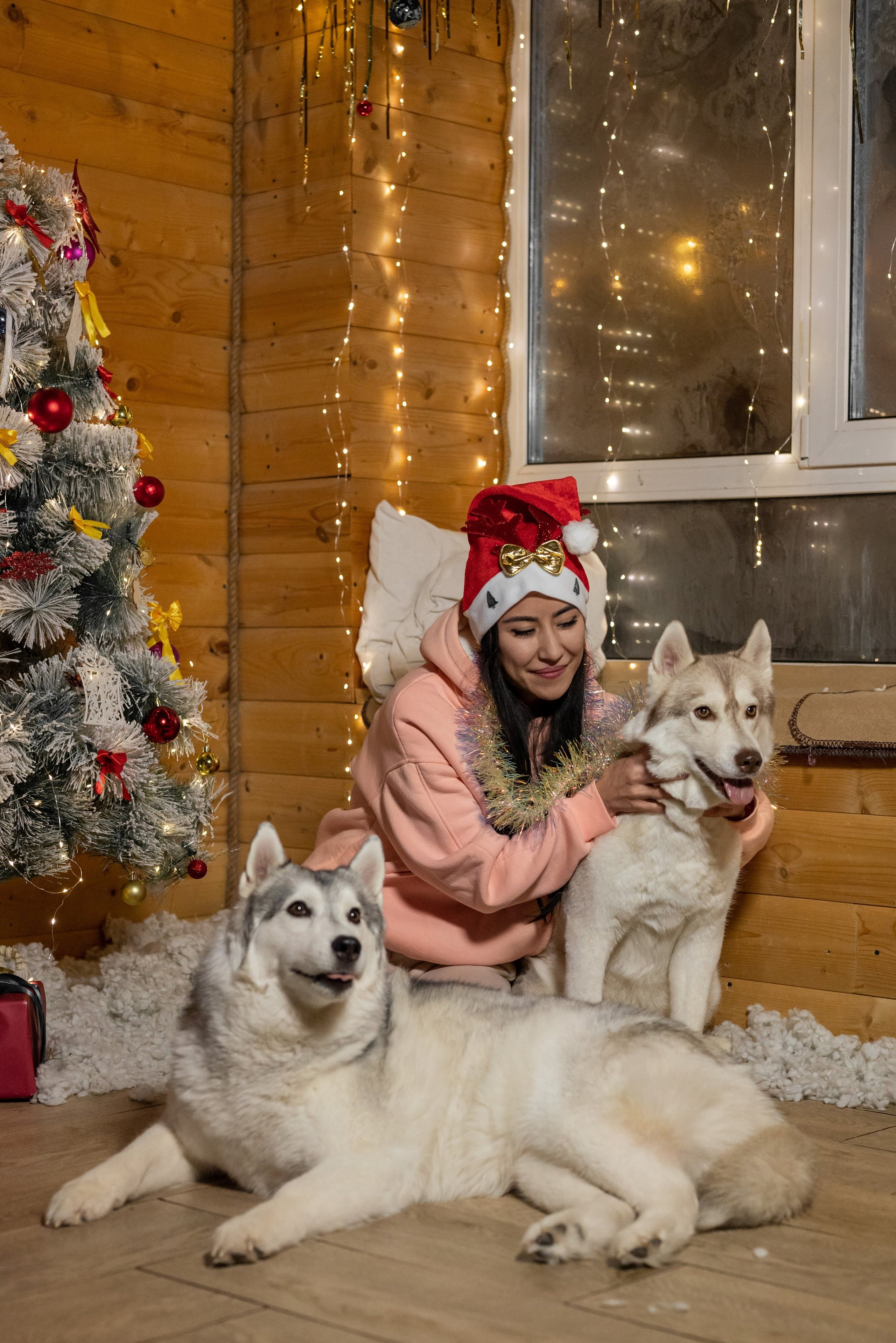 Фотопроект с хаски 2025 г. Фотограф в городе Салават