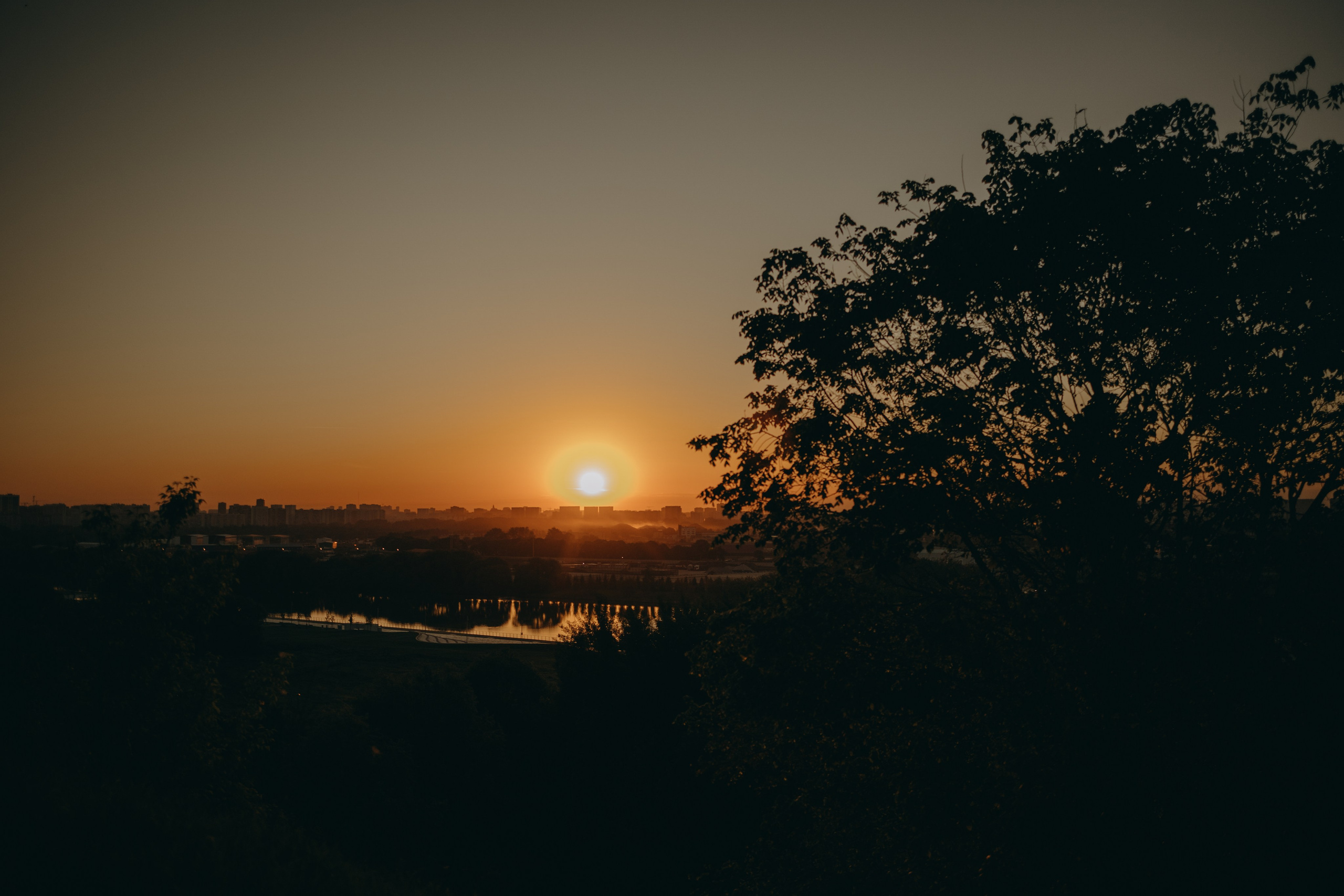 Танго и его семья. Фотограф — Анималист | Санкт-Петербург