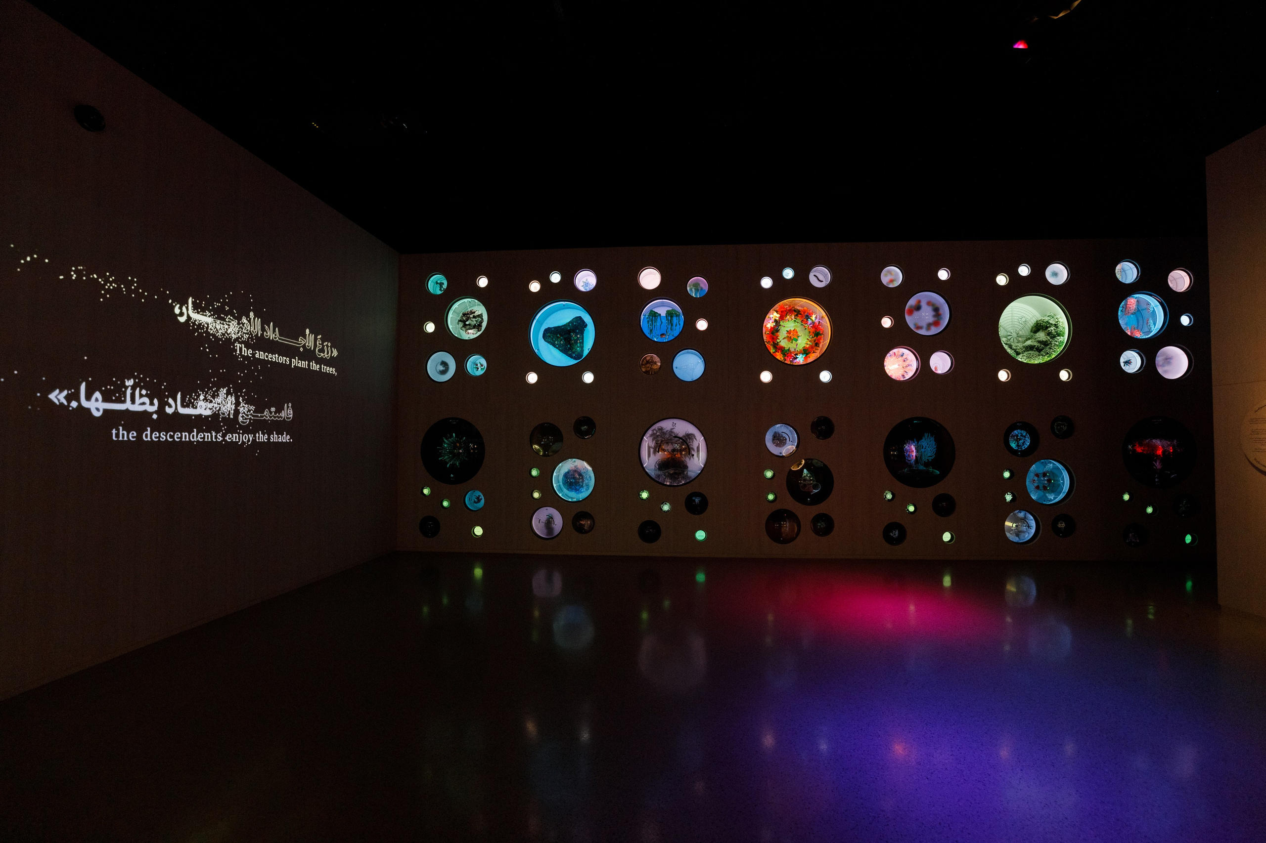 Дубай 2023. Руслан Плахтеев