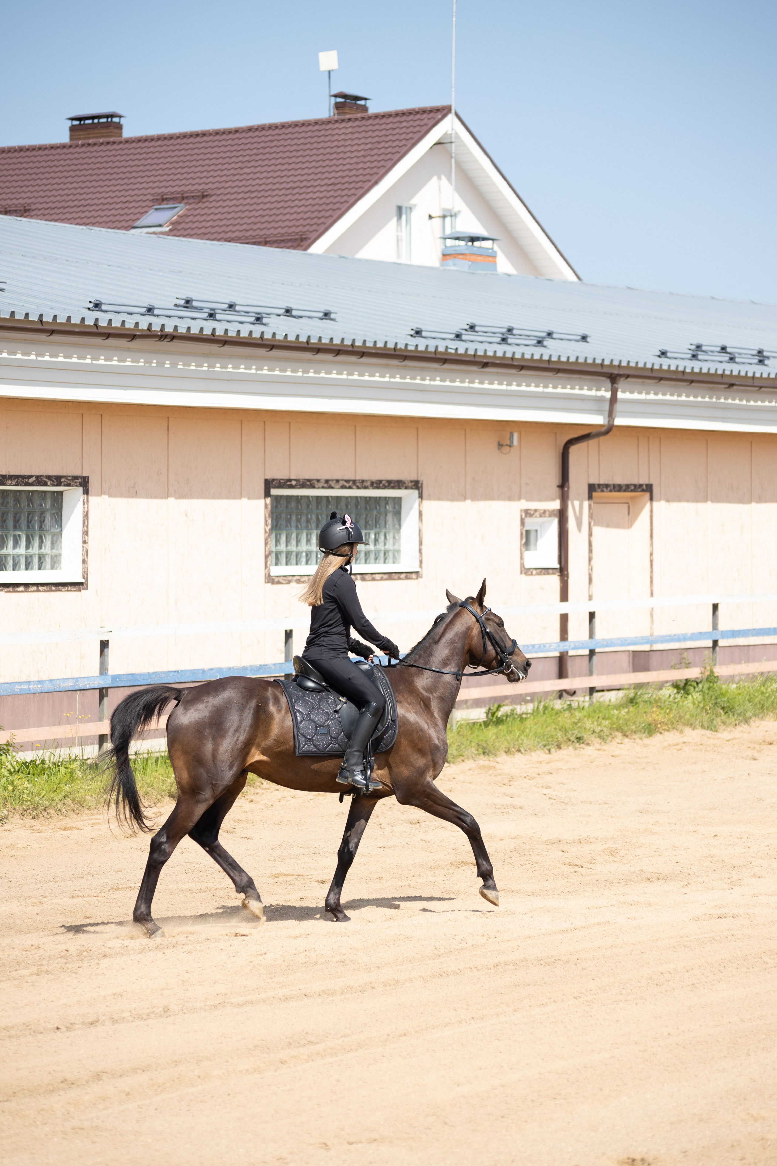 Конюшня. Фотограф в Москве и Истре