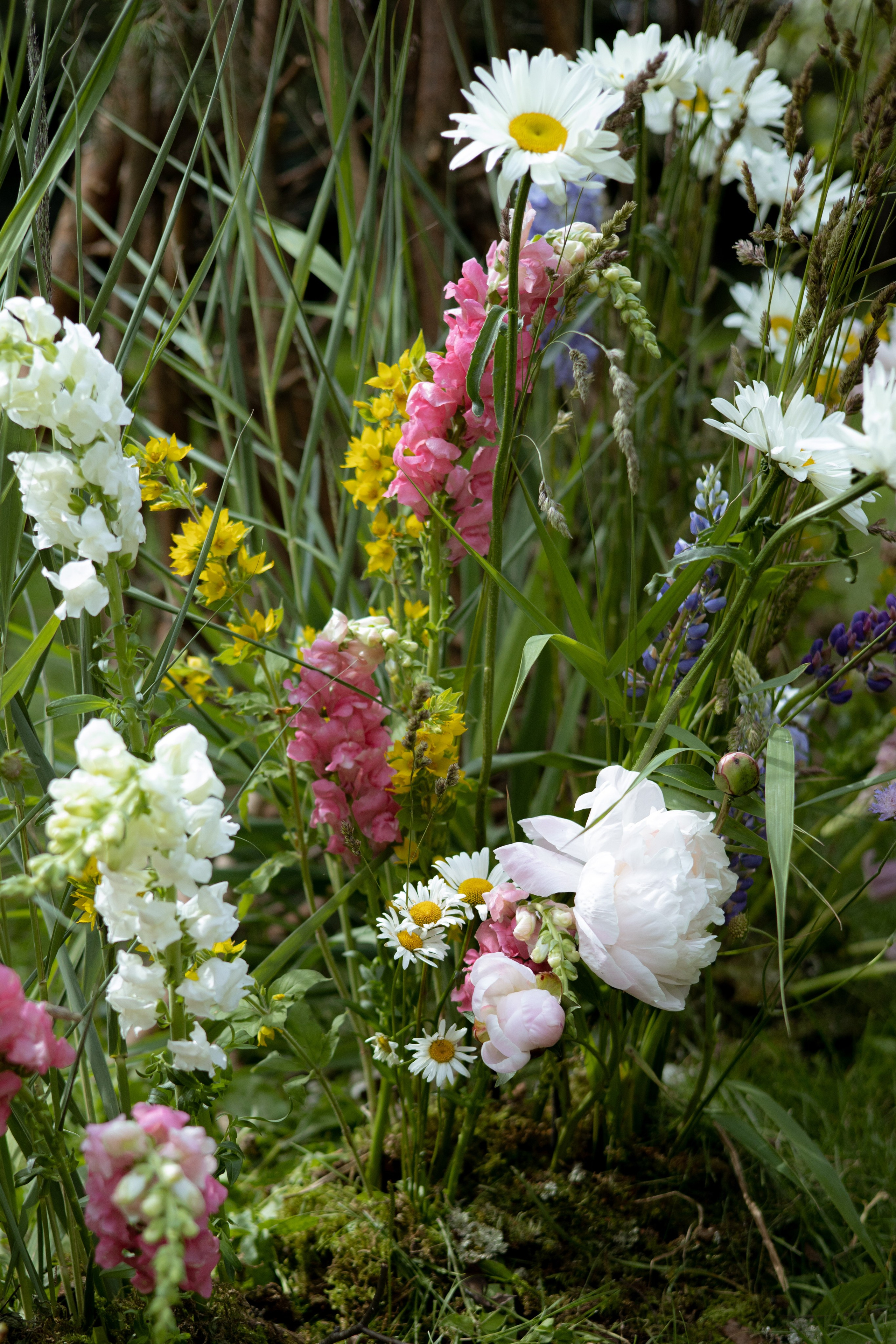 Павел & Полина. Оформление свадеб, декор свадеб Вера Маркова, Москва