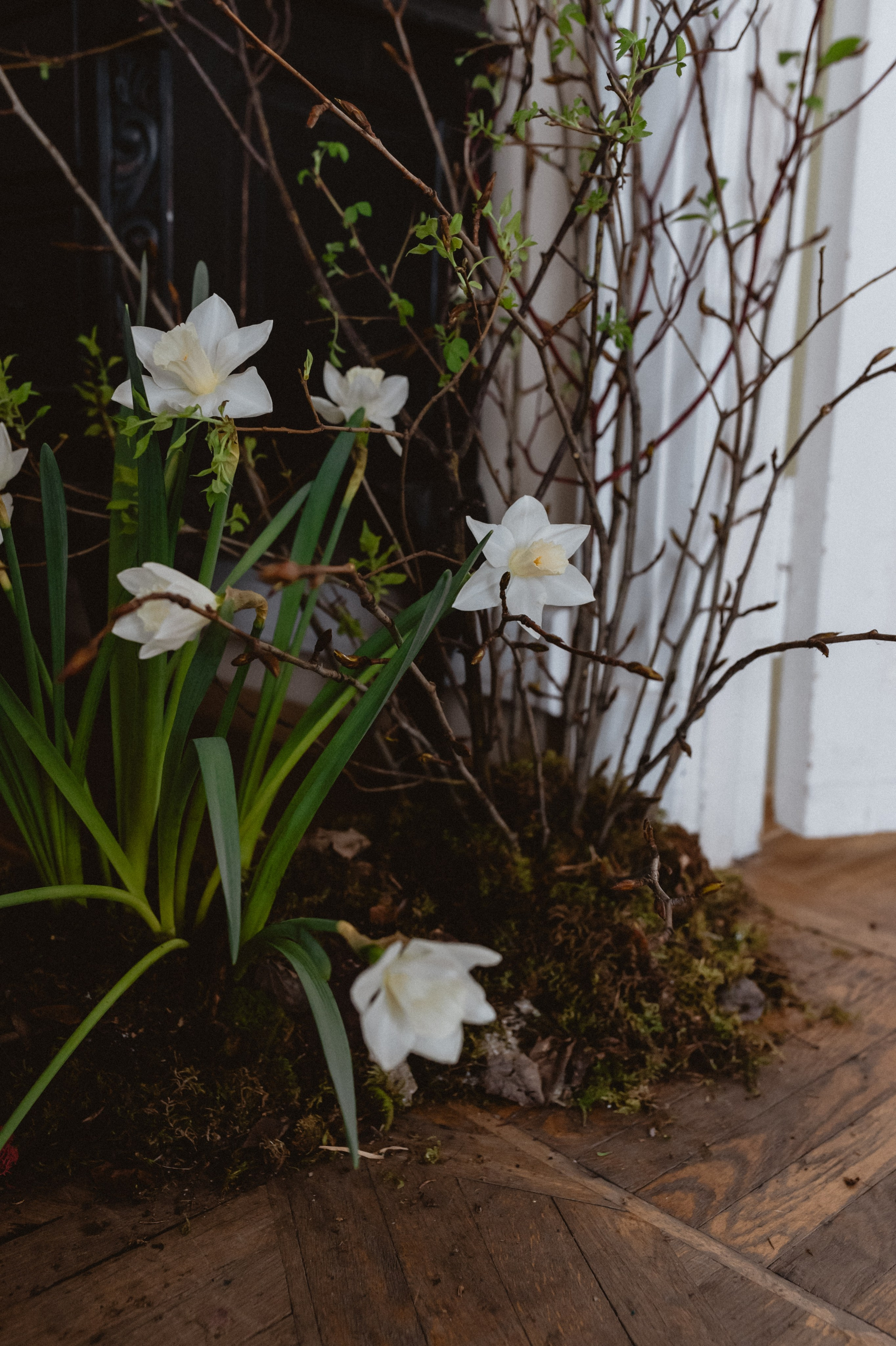 Эрнест & Аня. Оформление свадеб, декор свадеб Вера Маркова, Москва