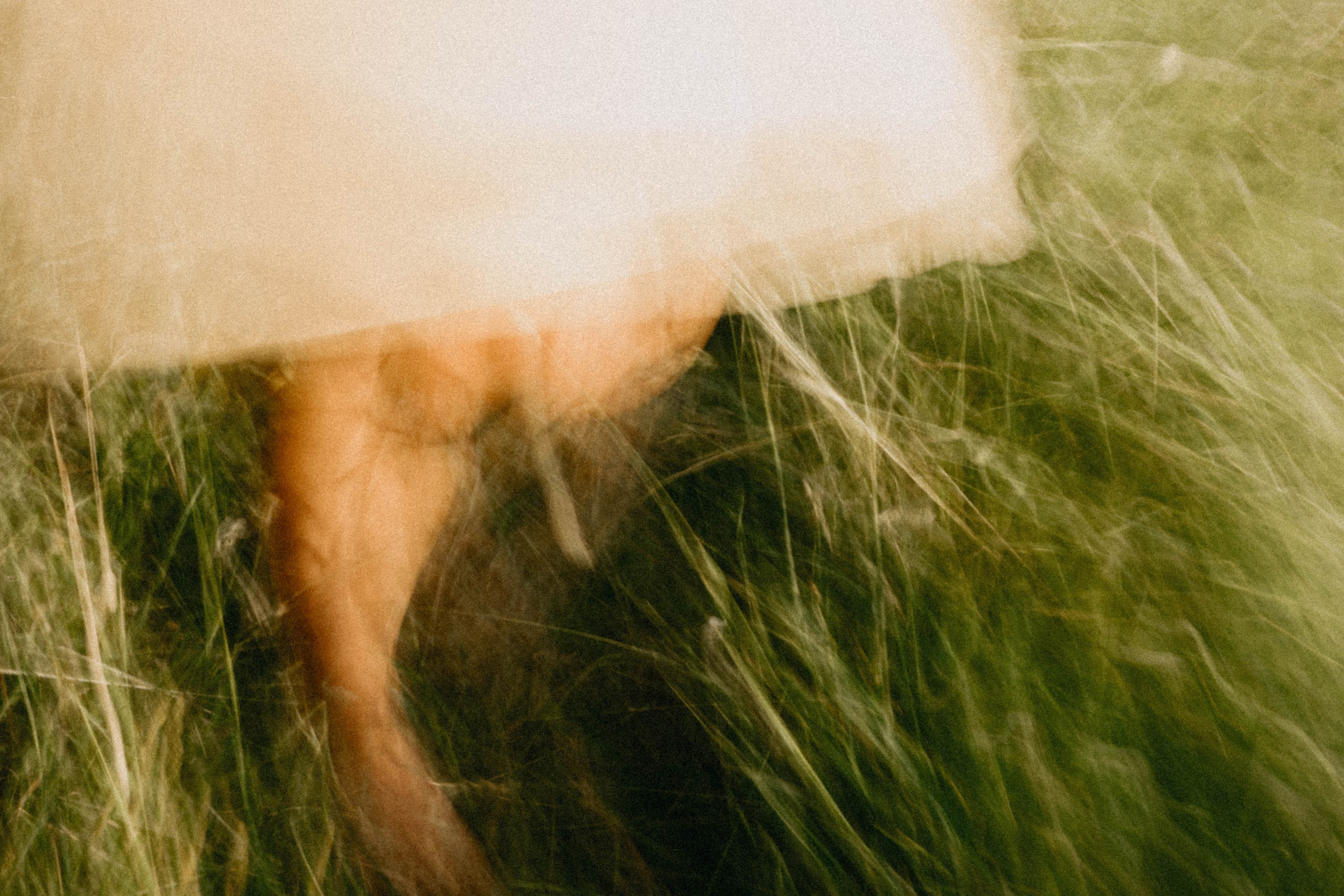 Летняя прогулка. Профессиональный фотограф, Санкт-Петербург — Виктория Богомолова