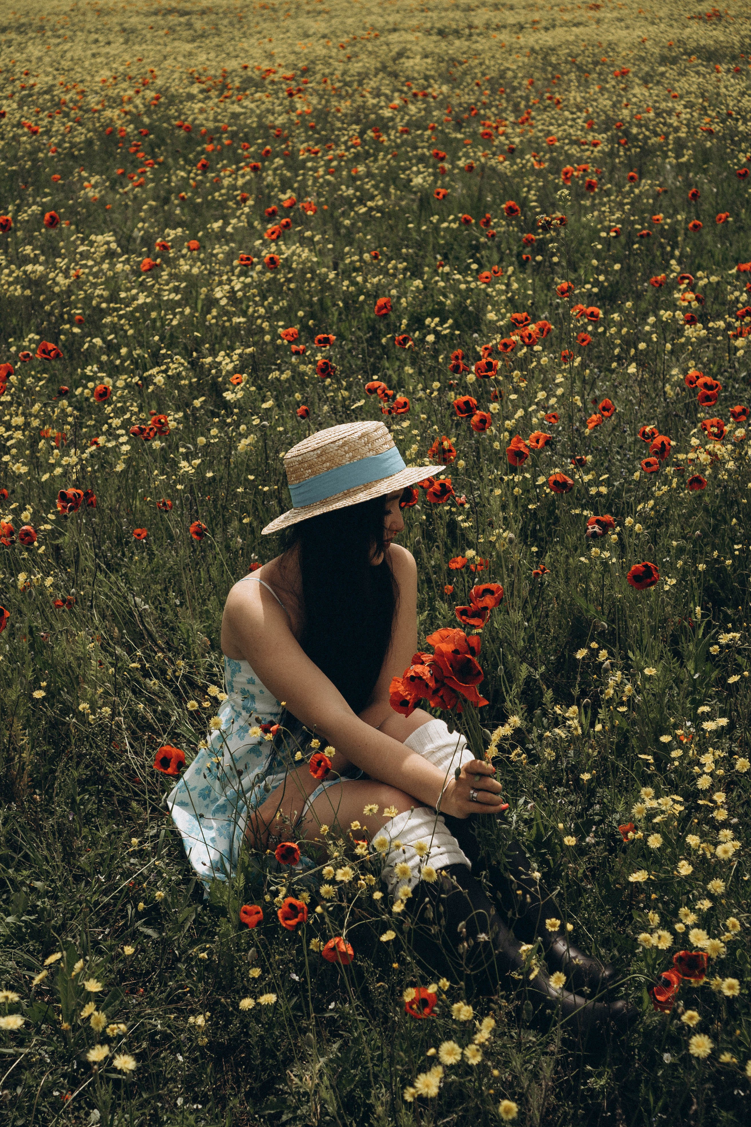 Цветочная поляна. Профессиональный фотограф, Санкт-Петербург — Виктория Богомолова