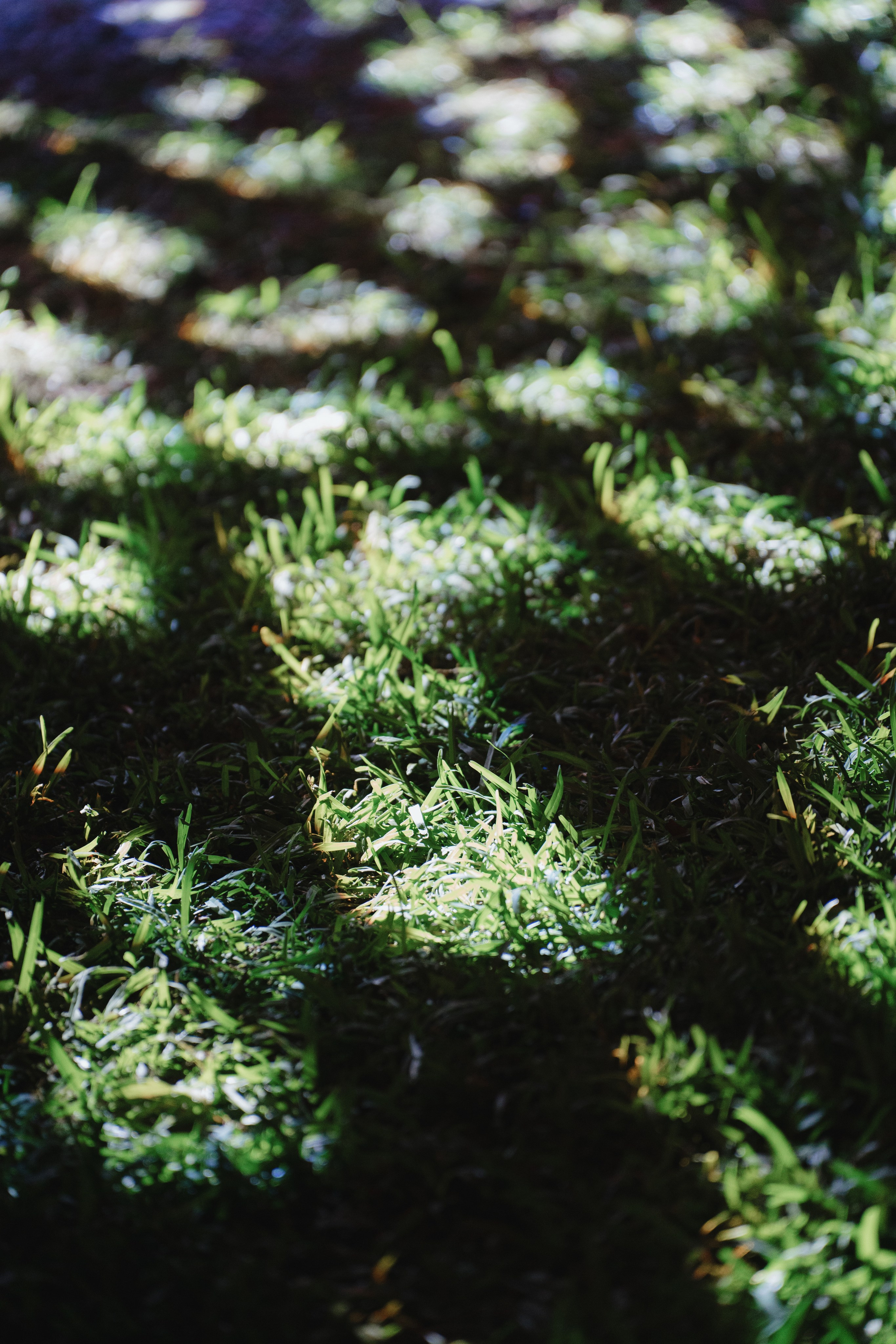 Casa Sur. Wedding & Documentary Photographer based in Nuremberg — available across Europe & Turkey | Vitalii Nasonov