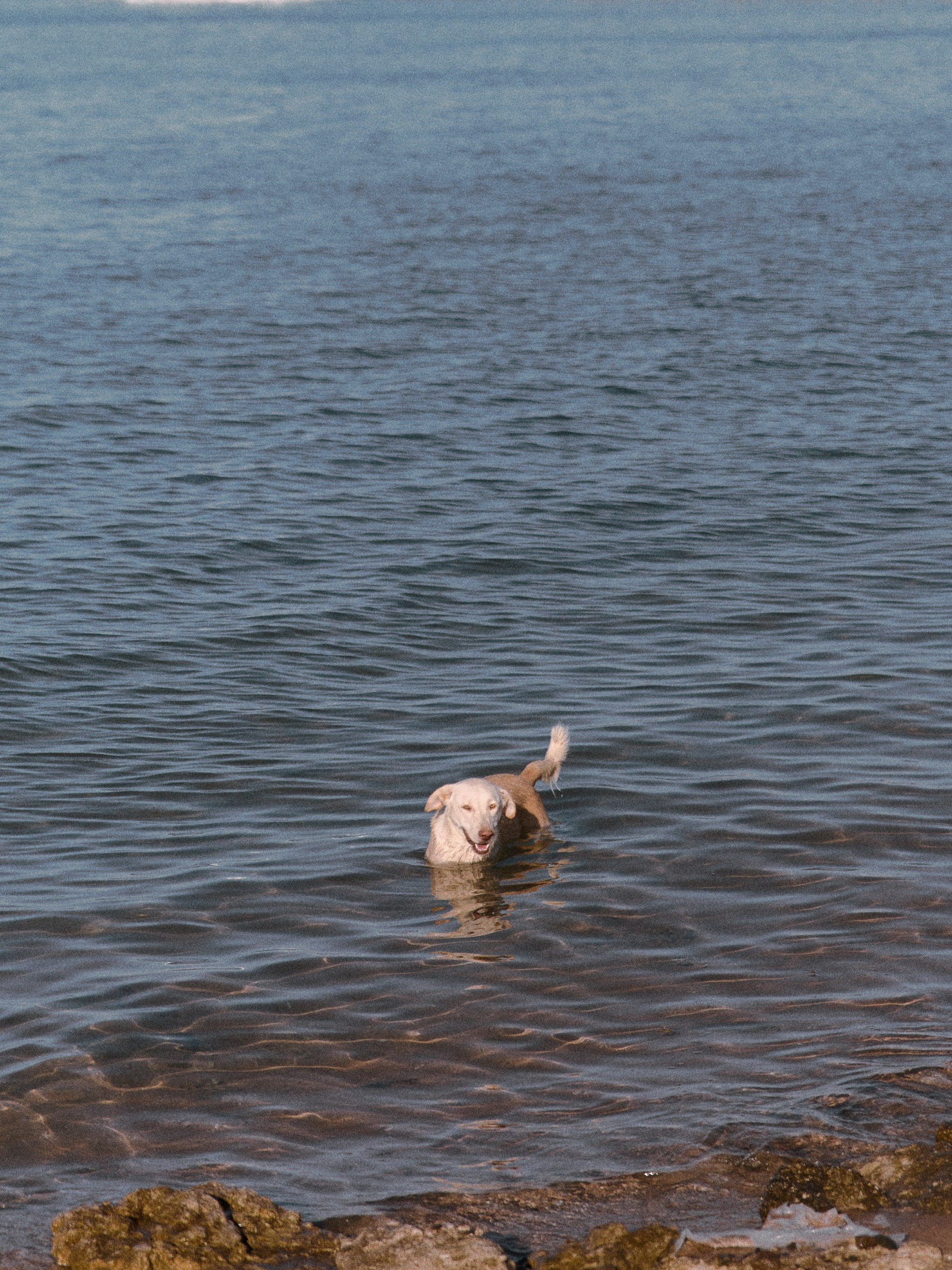 Диптих. Jorgis — фотограф в Хургаде / обучение фотографии