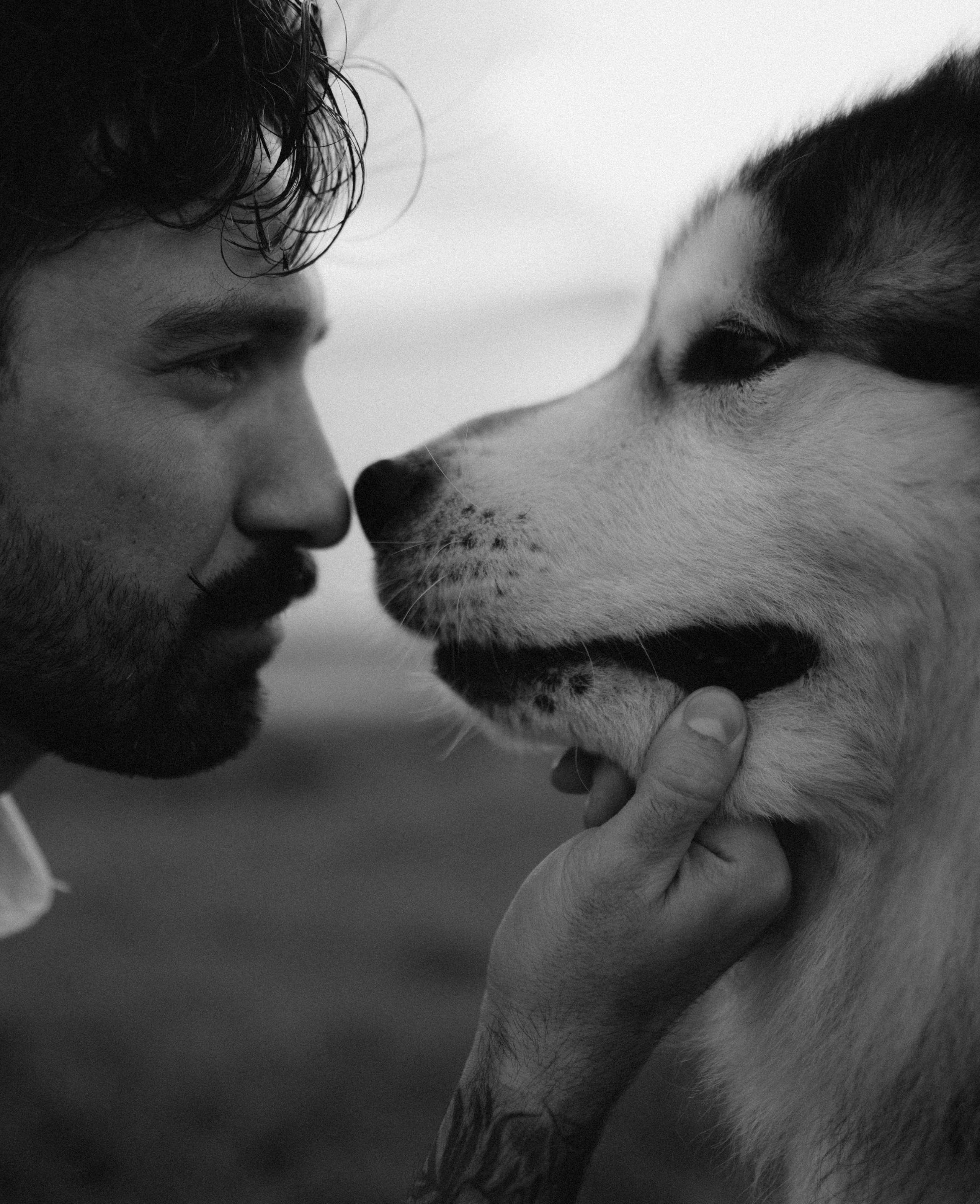 Друг человека. Фотограф Дарья Филатова