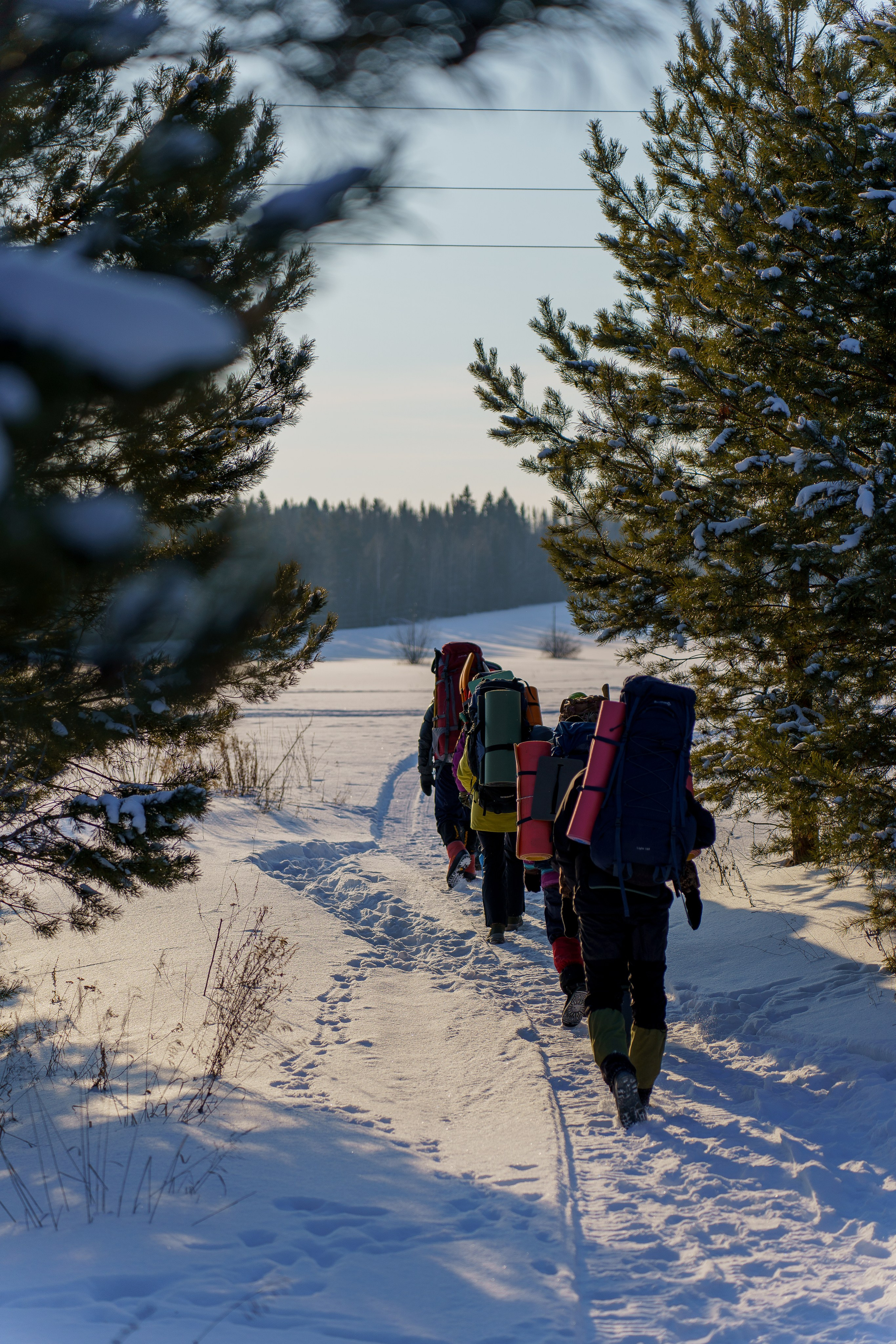 Семинар по безопасности в туризме