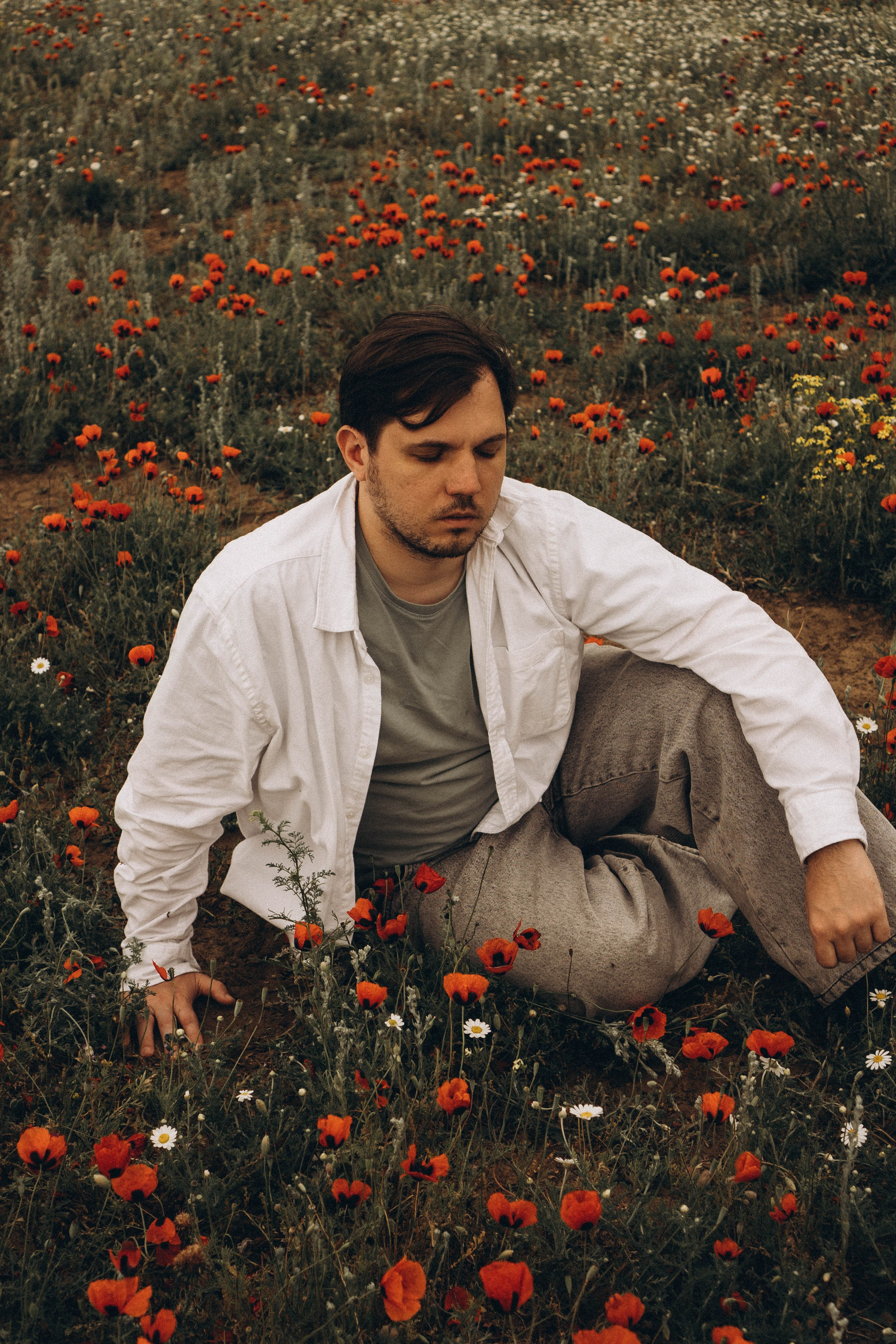 Маки. Профессиональный фотограф, Санкт-Петербург — Виктория Богомолова