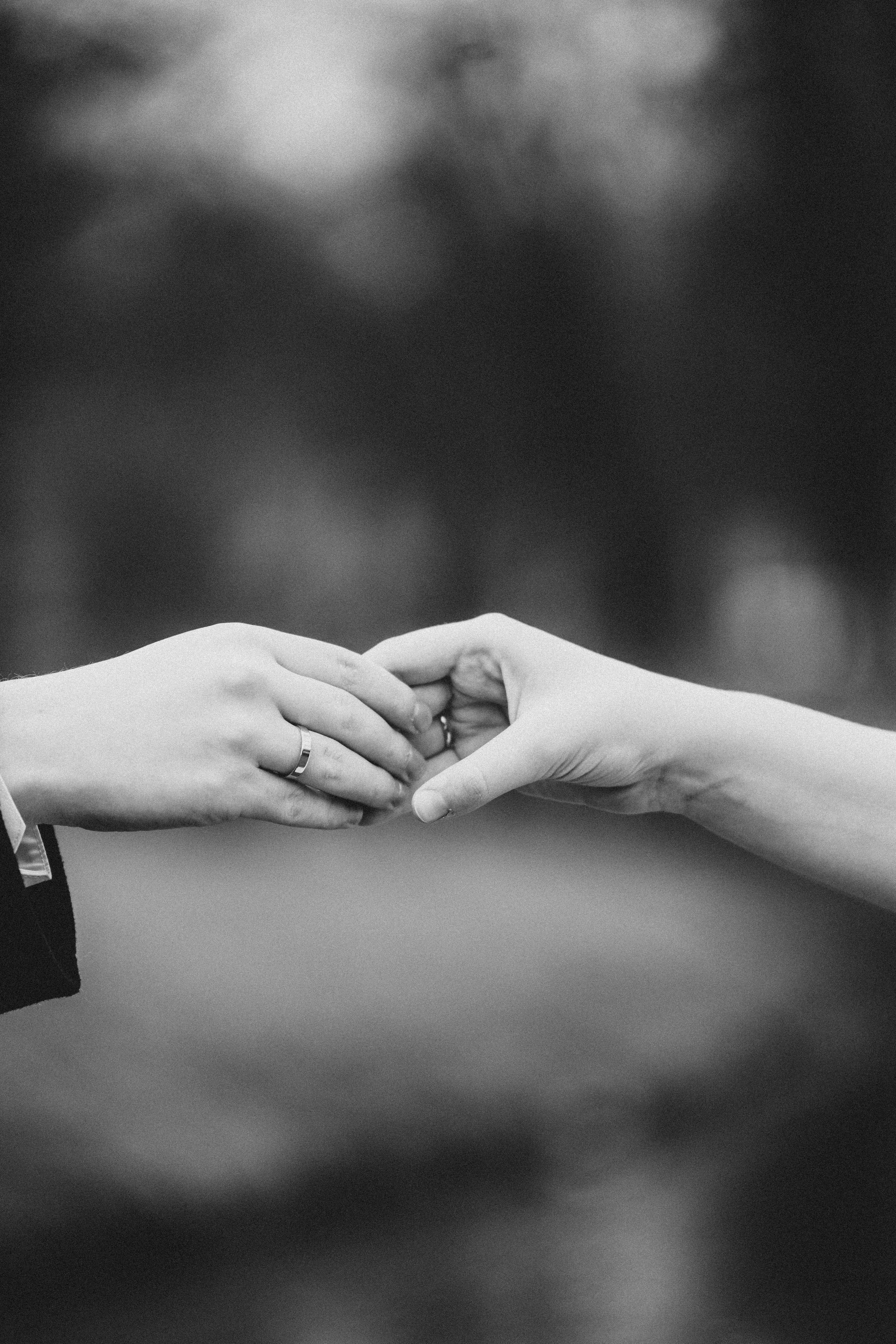 СВАДЕБНАЯ ВО ВТОРОМ ДВОРЦЕ И ПРОГУЛКА В ТАВРИЧЕСКОМ САДУ ЧБ. Профессиональный фотограф, Санкт-Петербург — Виктория Богомолова