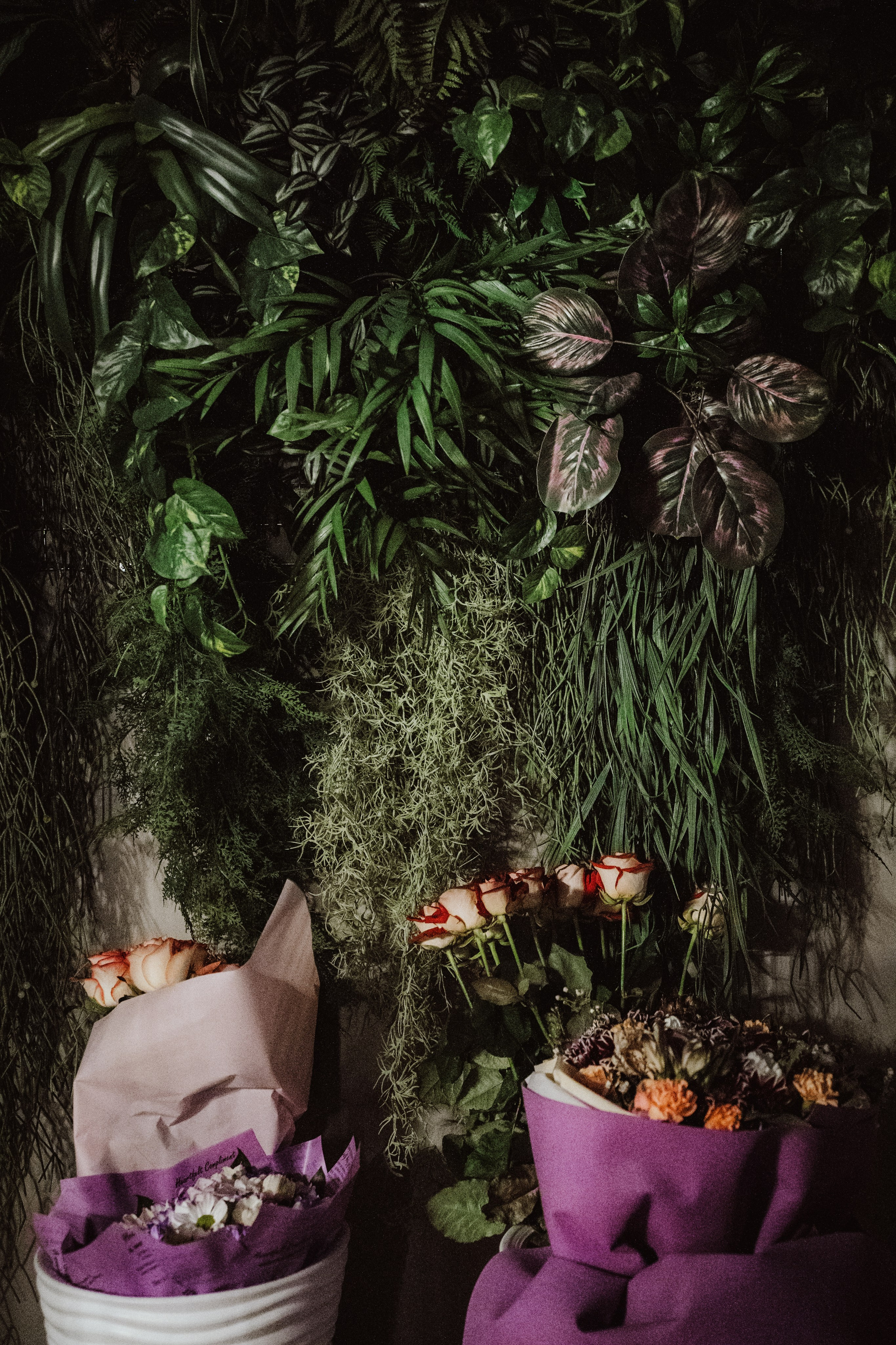 День Рождения в River Don Park. Portfolio