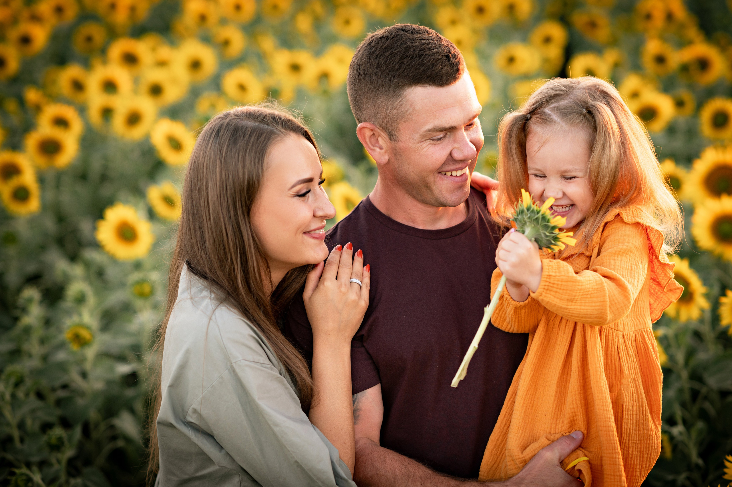 Подсолнухи. Семейный фотограф в Красноярске Надежда Кошелева