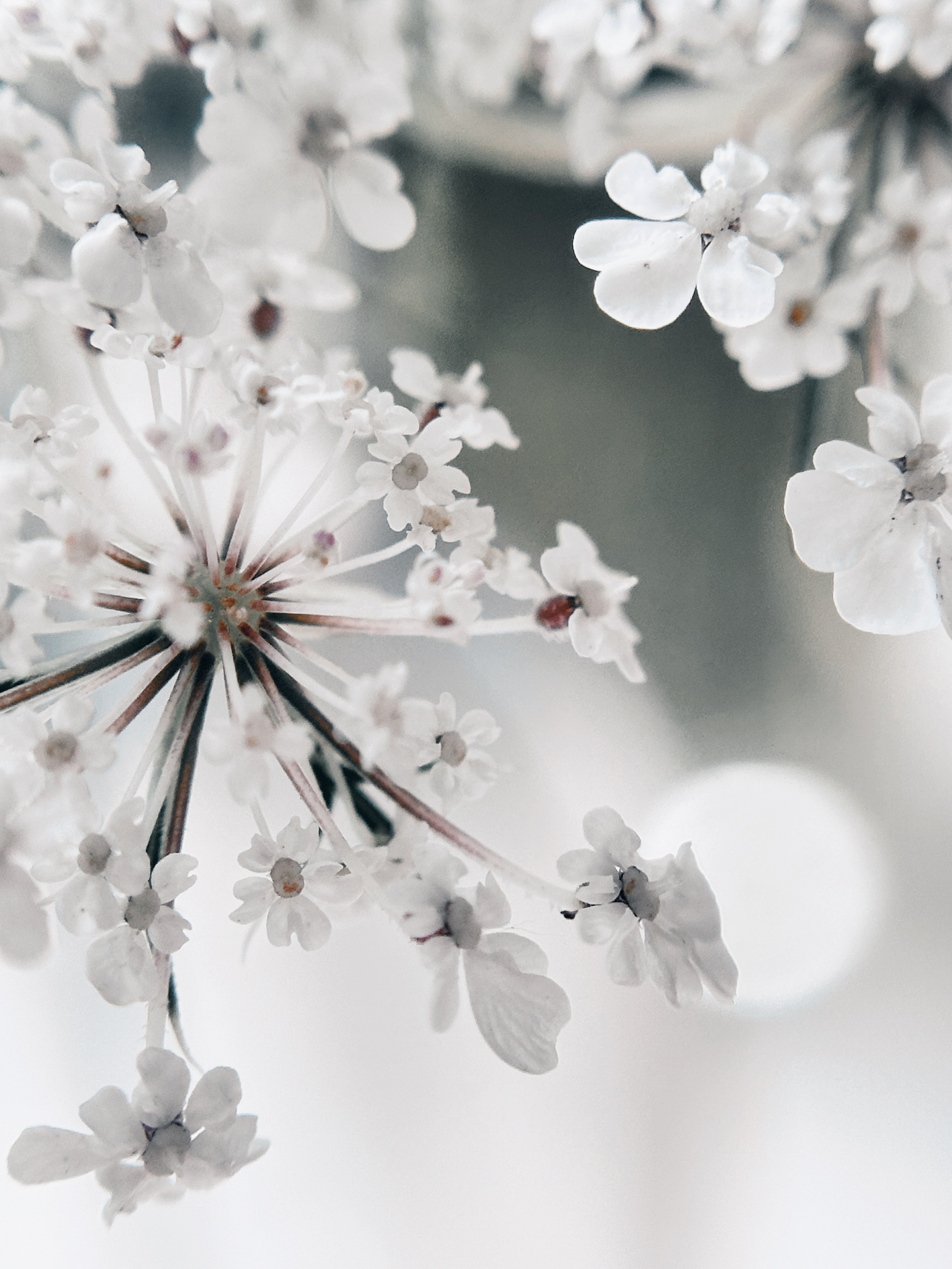 Макро любовь. Смотри, красота!