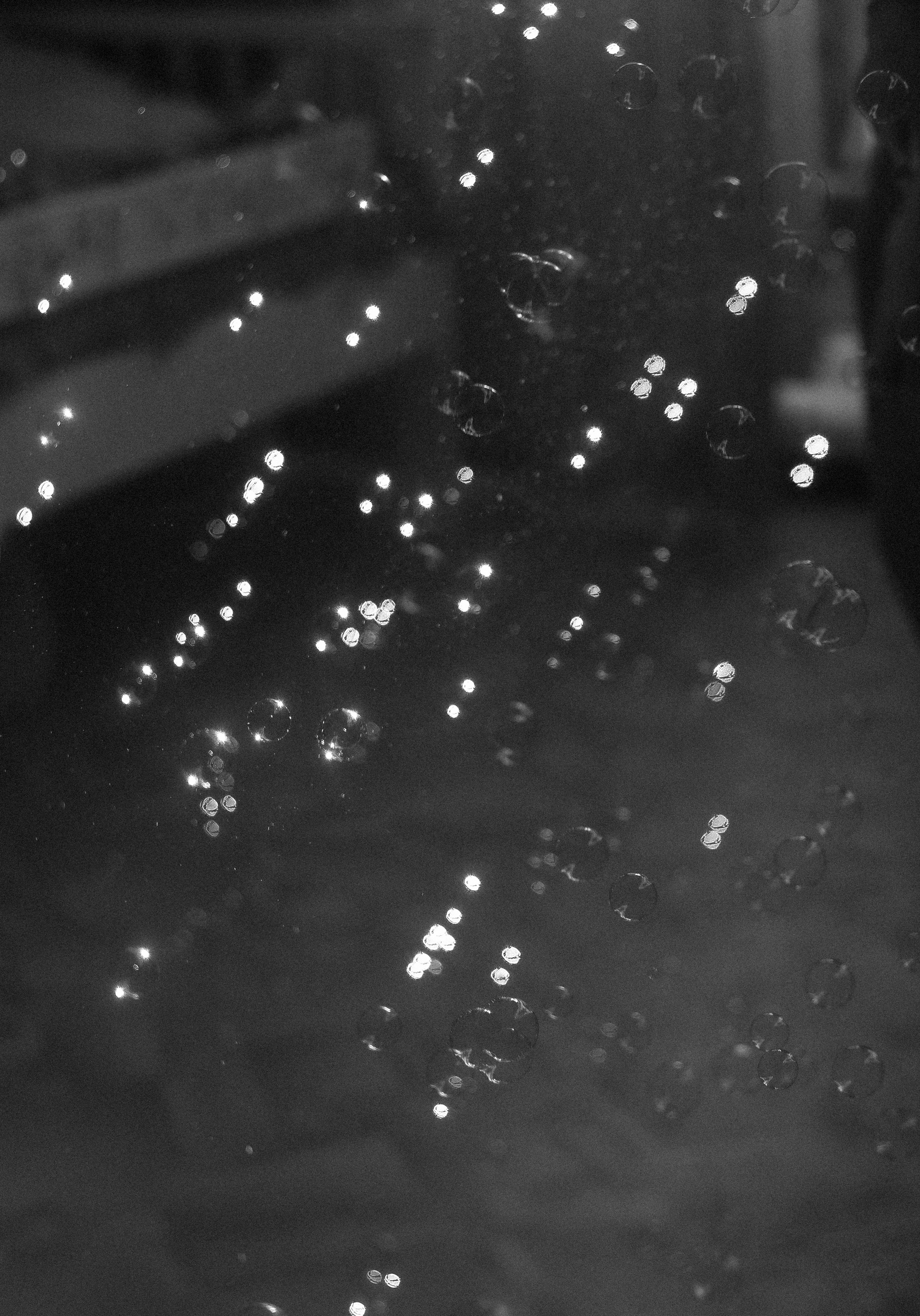 Квартира 99. Детский и семейный фотограф в Новосибирске Саша Дорошенко