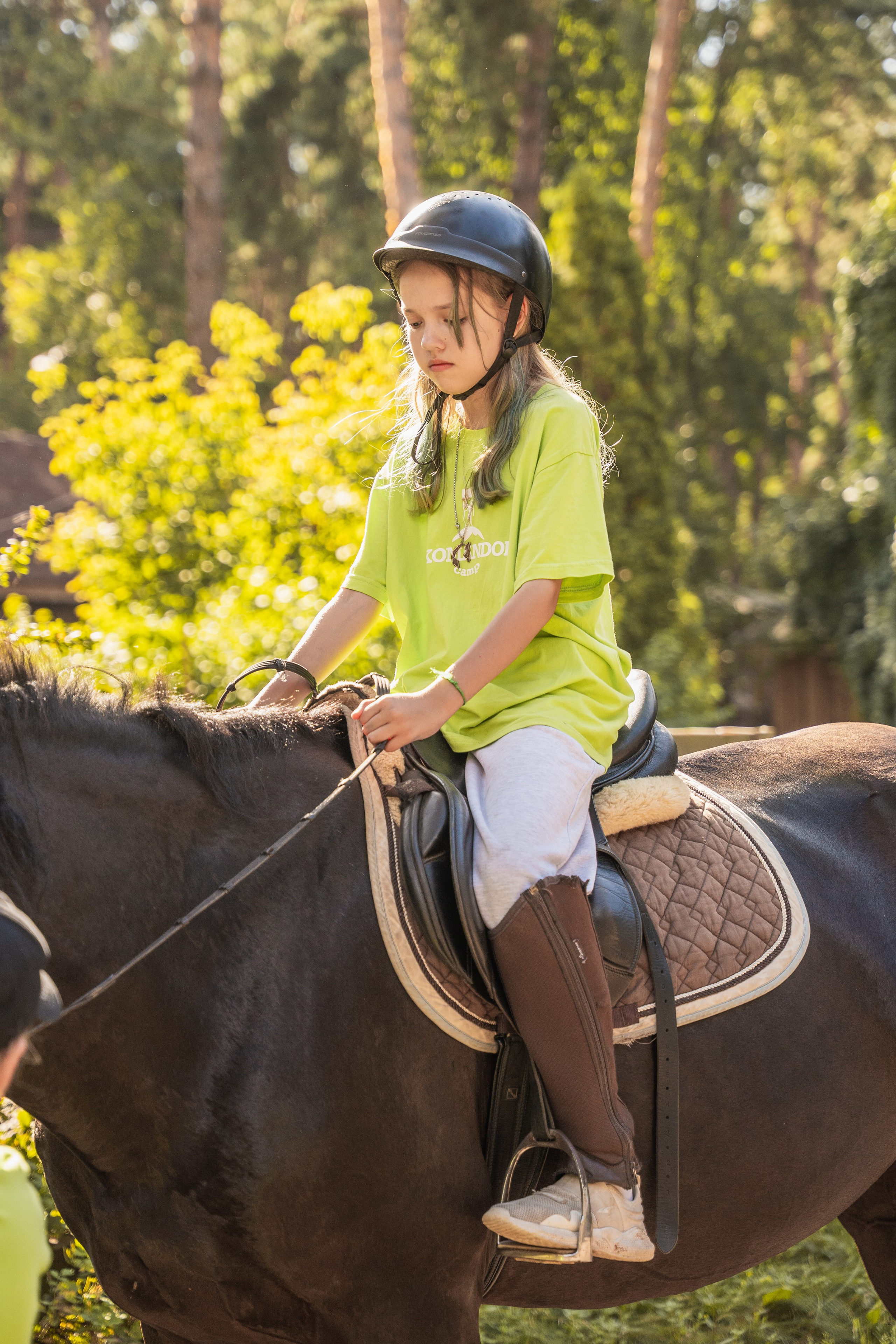 Конное занятие. Главная