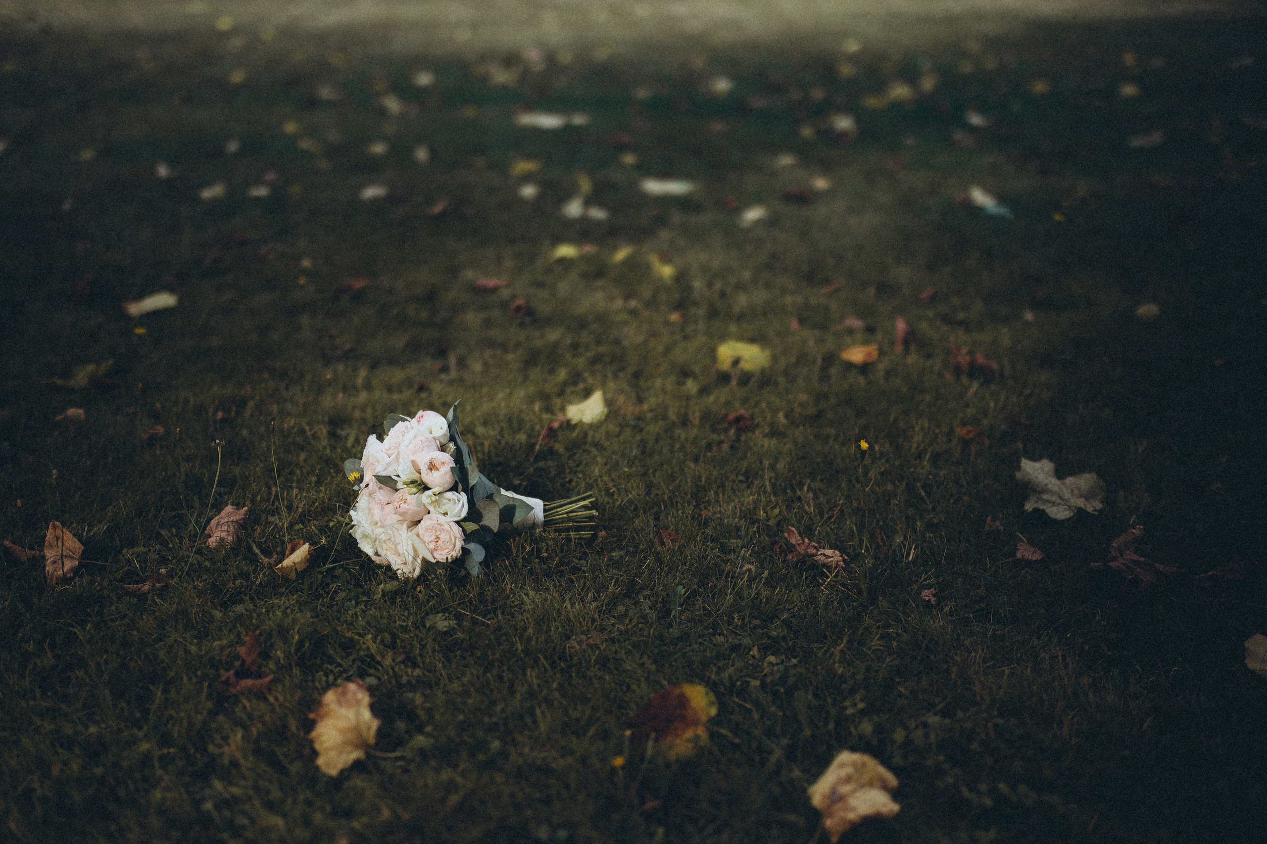 Ксения и Николай. Fotograf in Sewastopol, Krim und Moskau Gorbunov Denis