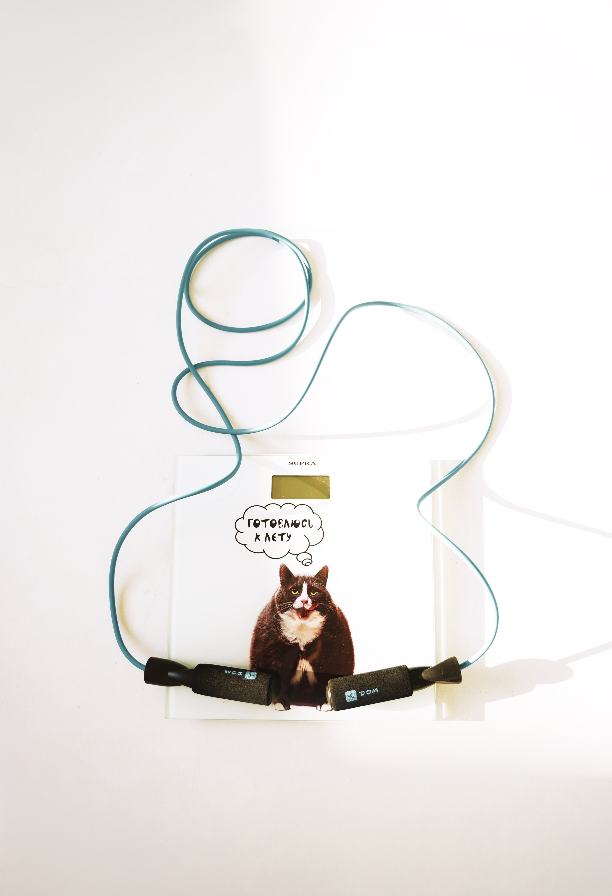 Ф и т н е с — т р е н е р  / н у т р и ц и о л о г 1. Контент фотограф в Москве Кулич Настя