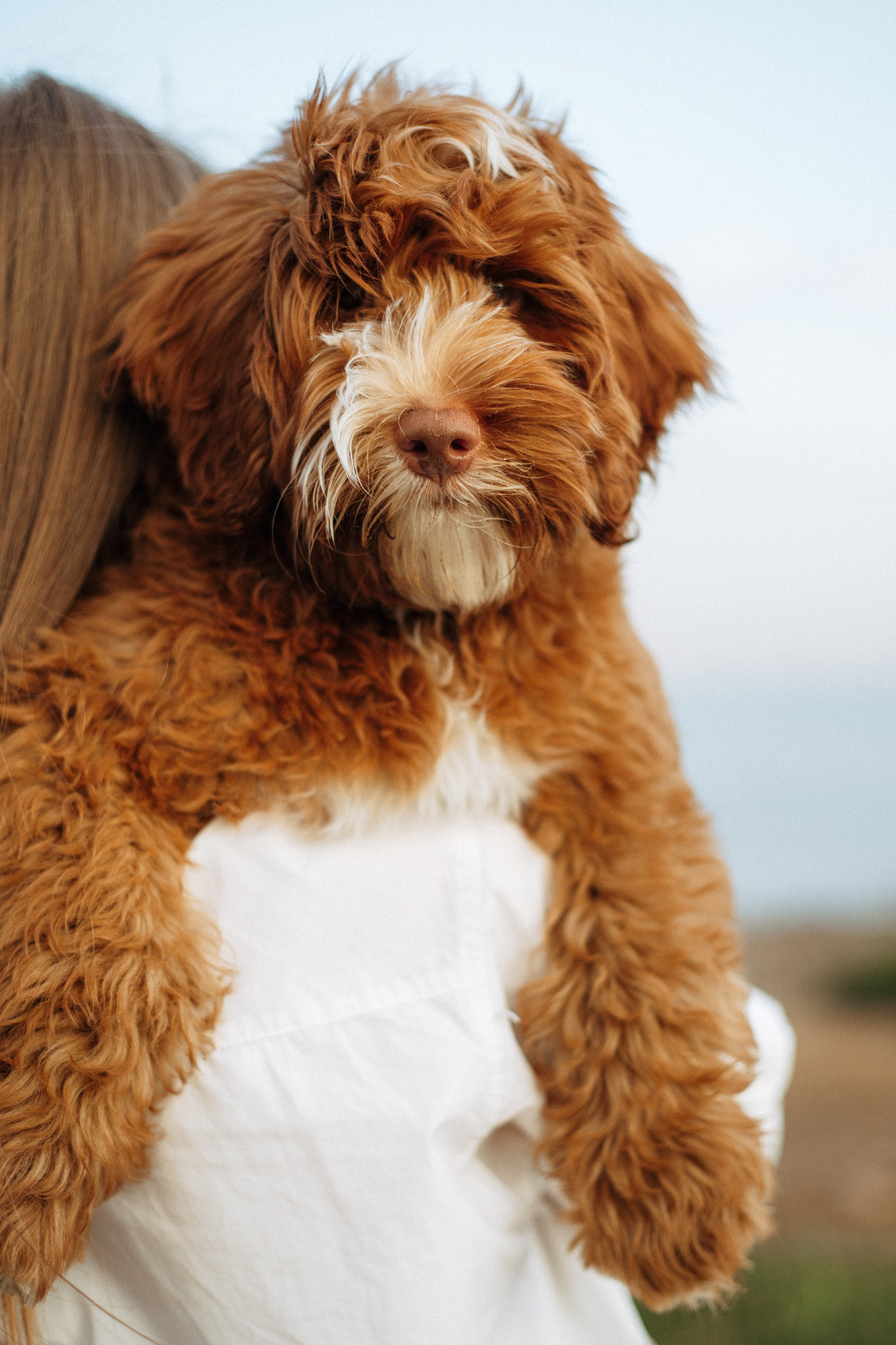 Анастасия и Тео. Фотограф Юлия Попова — JP Creative — хранитель семейной хроники в Петербурге