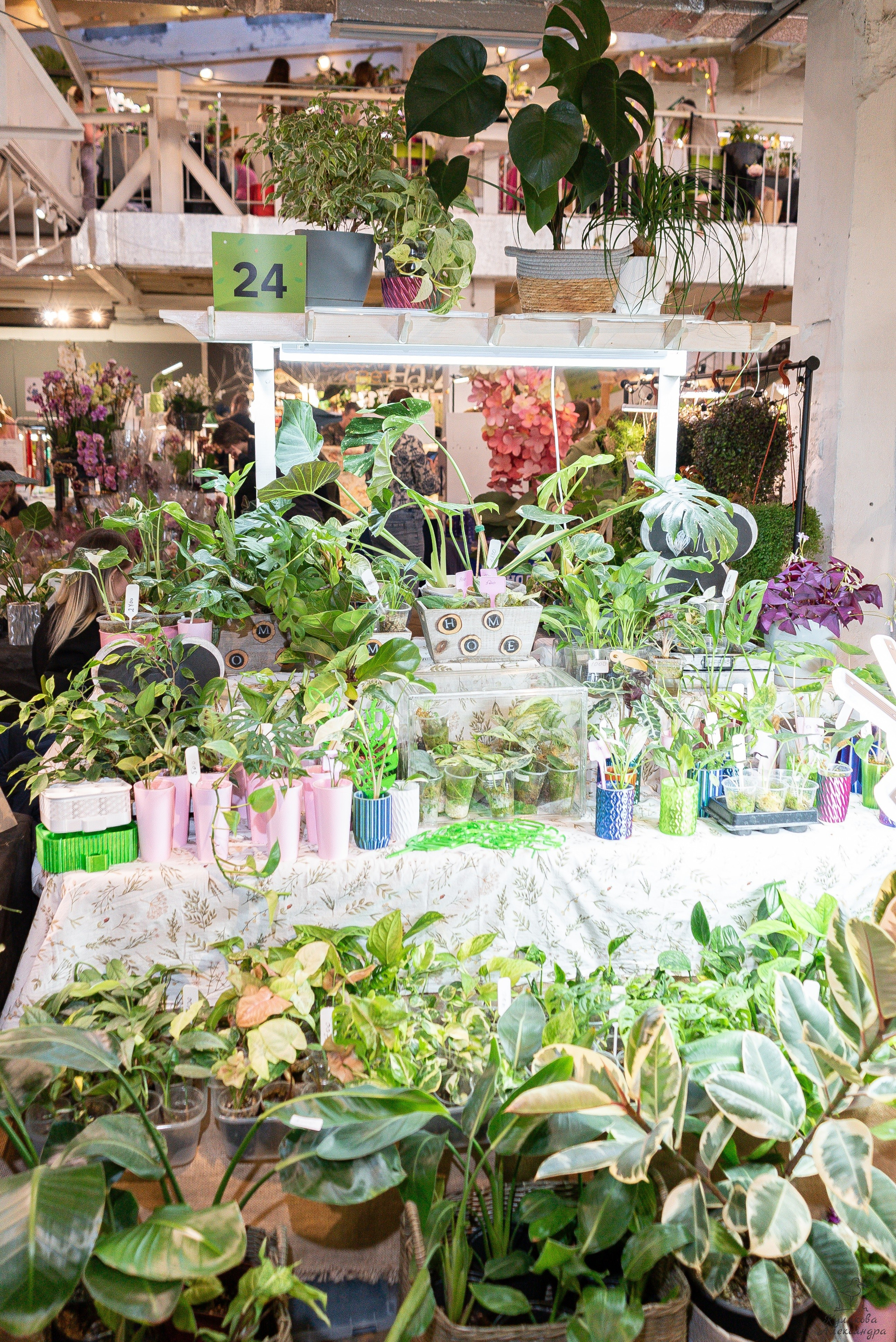 Гроубокс Артплей апрель. Александра Куликова фотограф, Москва