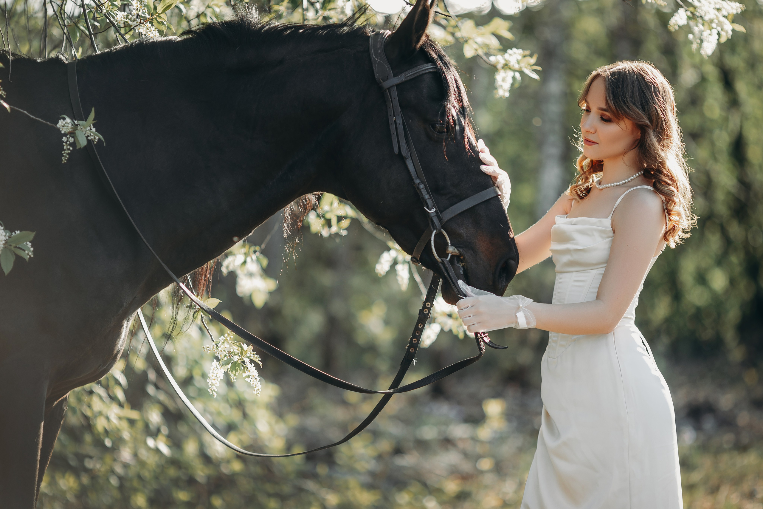Дарья&Басмач. Анна Молчанова конный фотограф в Тюмени | фотосессии с лошадьми Тюмень