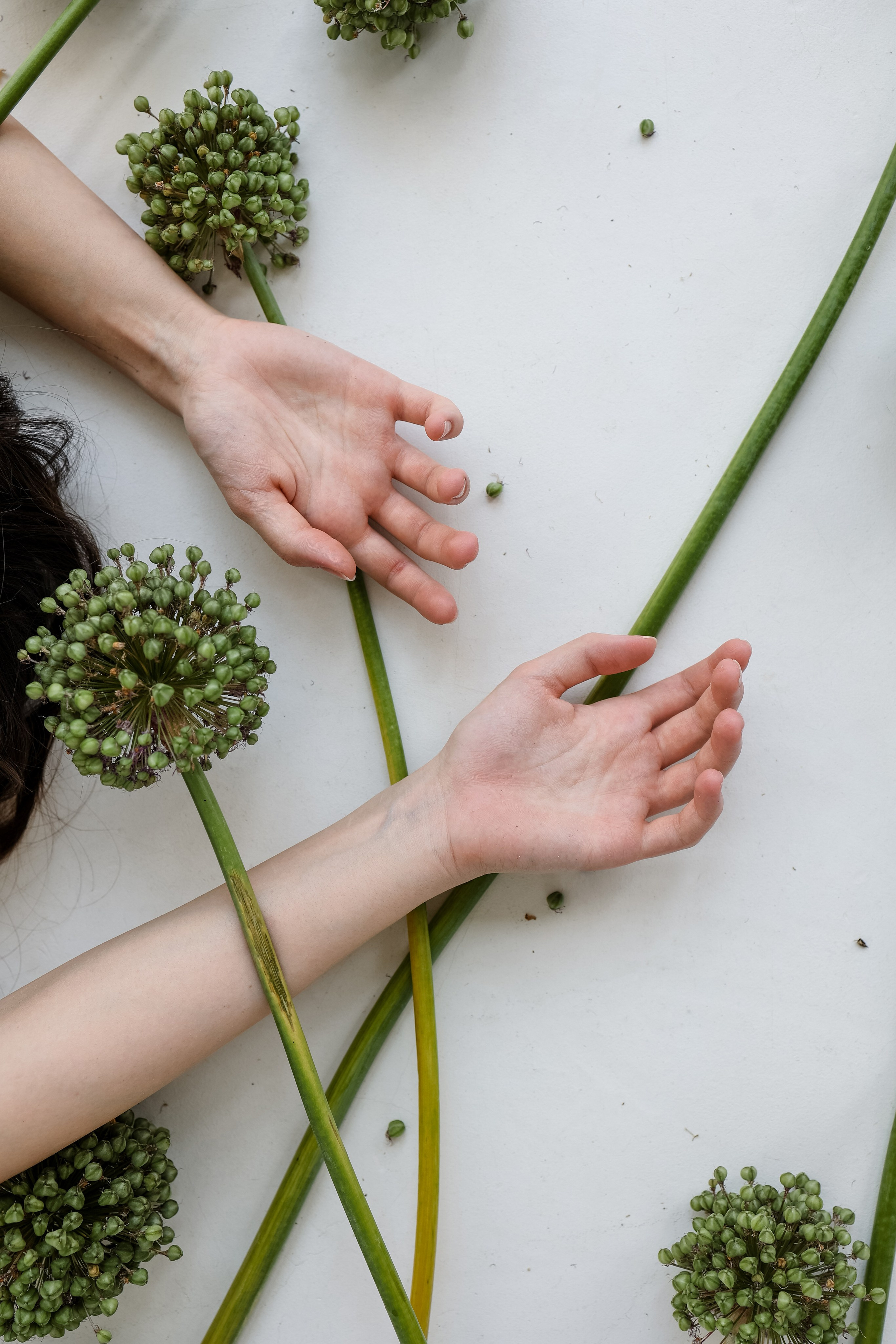 СОФЬЯ. Главная