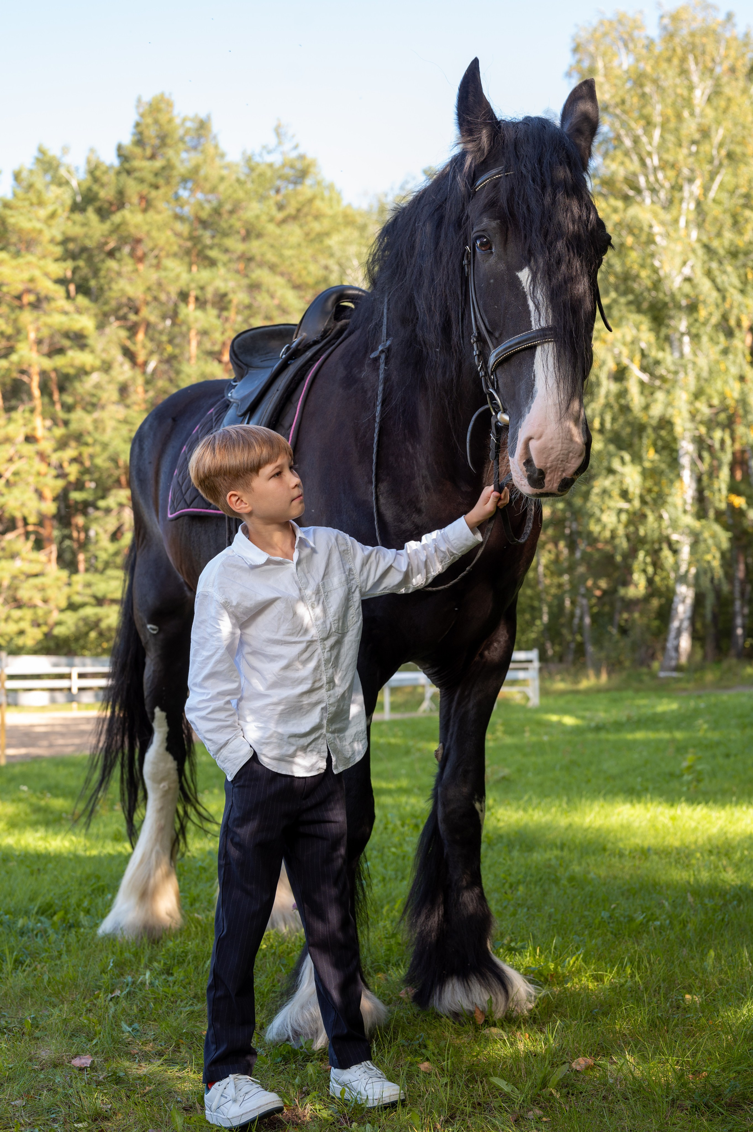 Конный клуб Аллегро, Екатерина. Фотограф новорожденных, семейный детский в Тюмени Татьяна Морозова