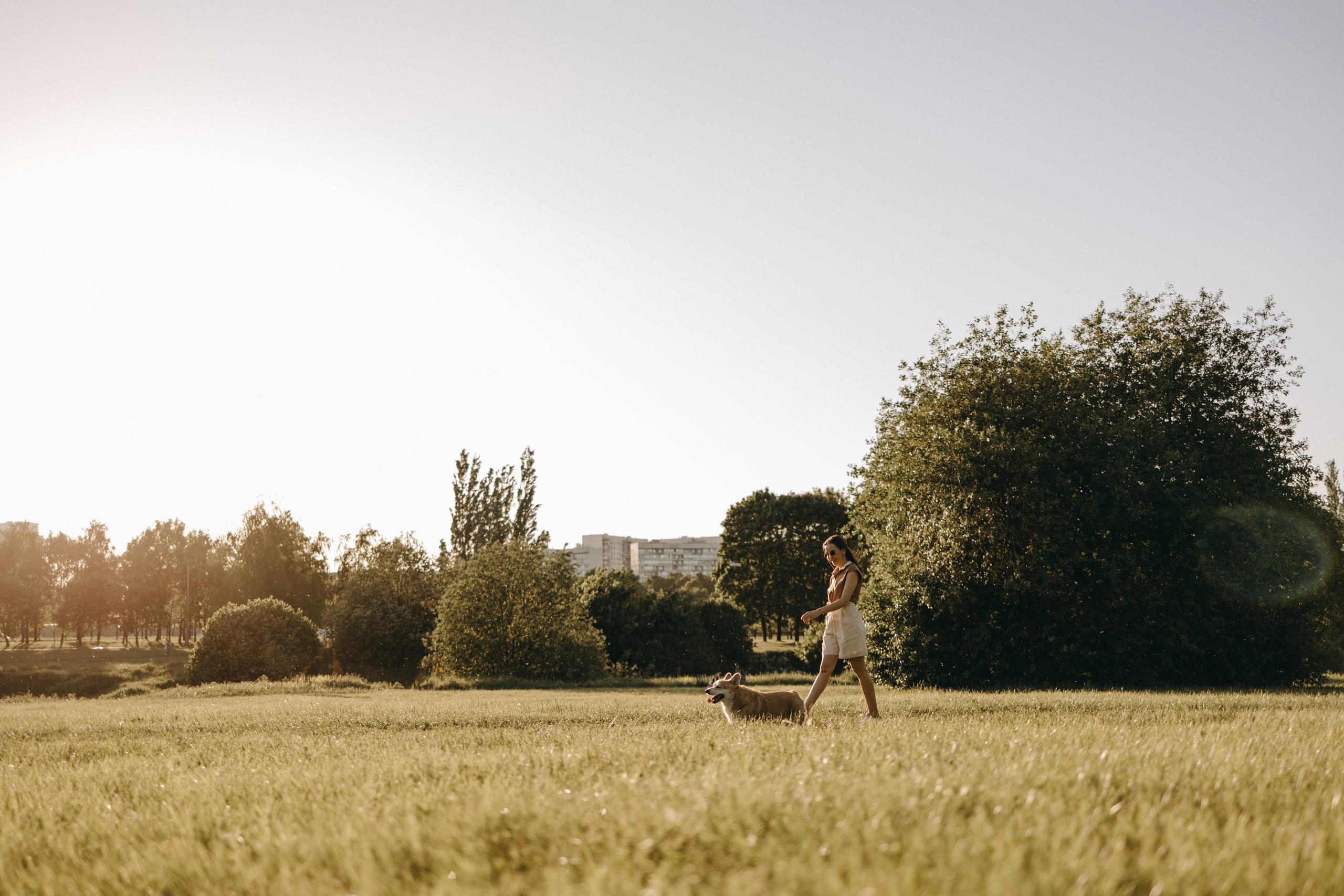 Кристина и Шелби. Фотограф — Анималист | Санкт-Петербург