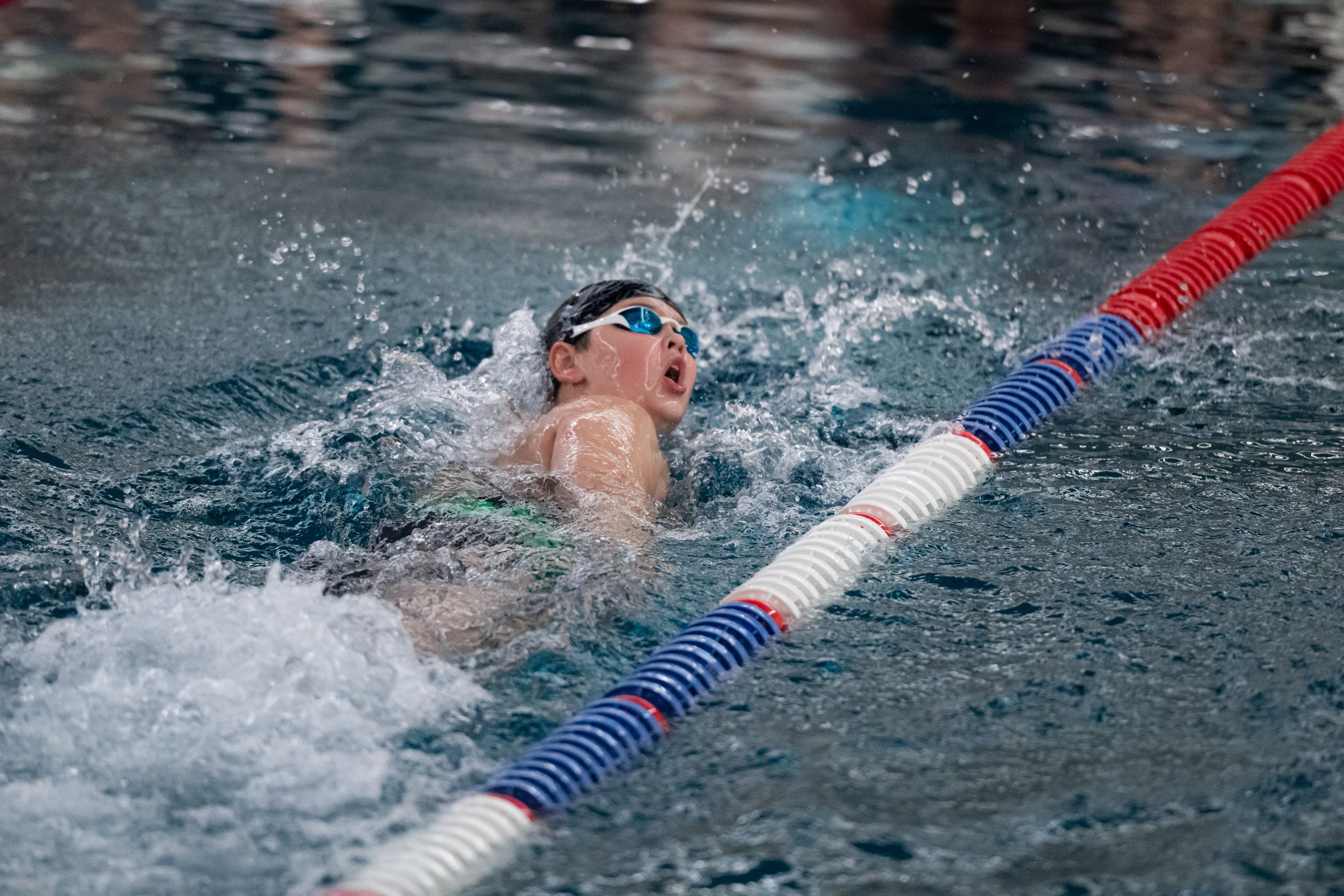 ЧЕМПИОНАТ ПО ПЛАВАНИЮ. ДИНА МИХНЕВА спортивный фотограф Москва