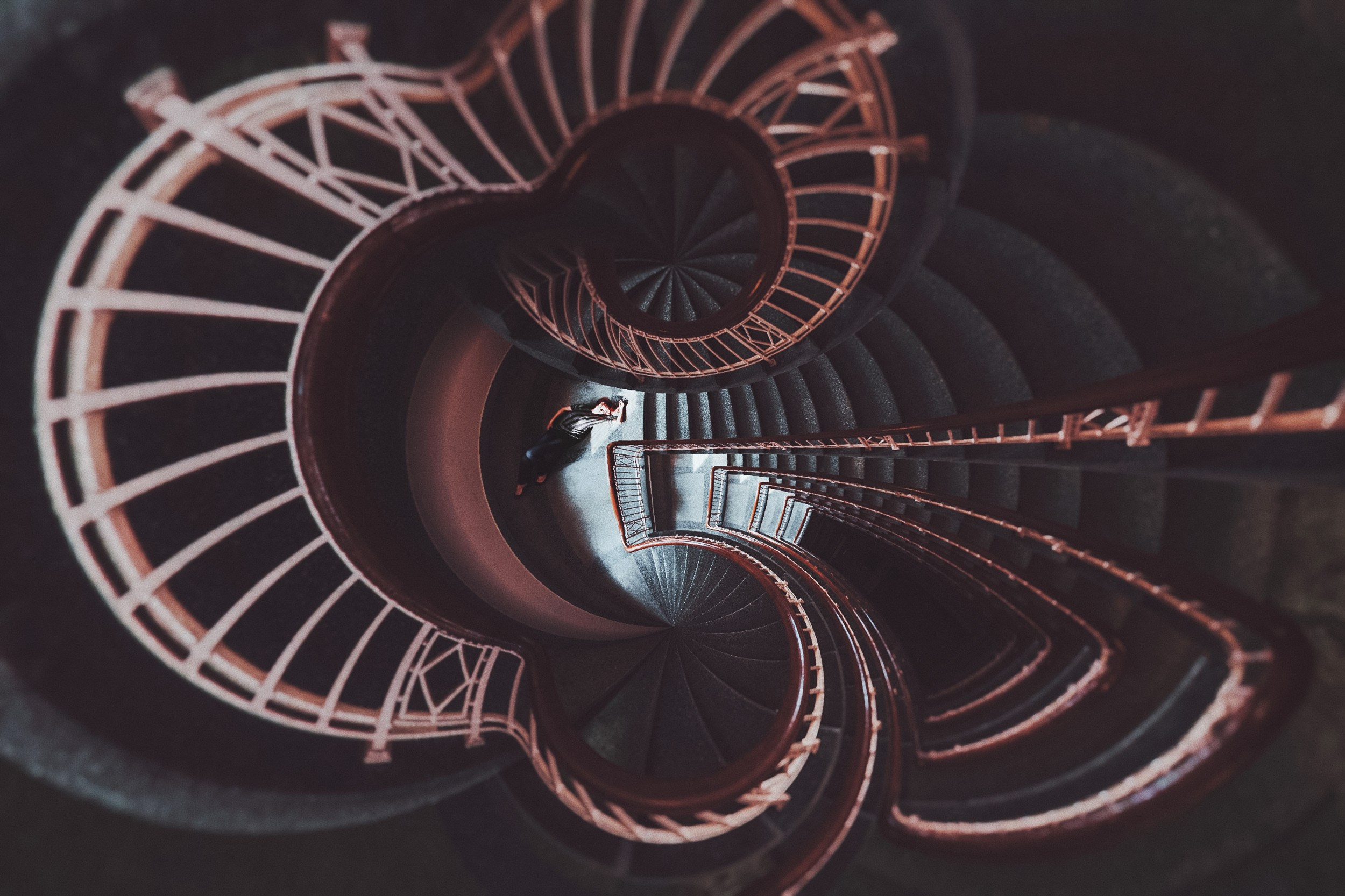 Portfolio. The Andris