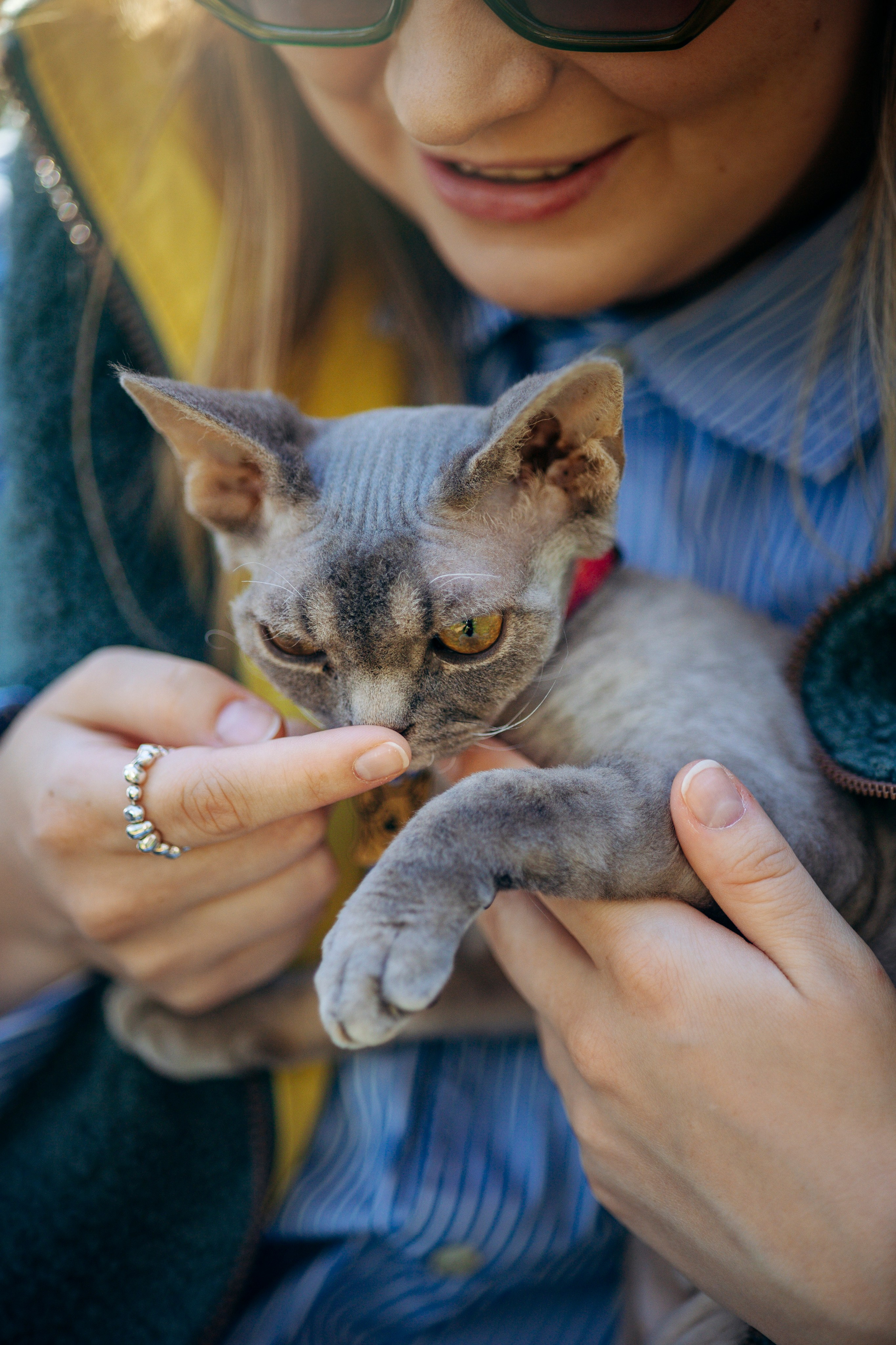 Котофеи и их семья. Фотограф — Анималист | Санкт-Петербург