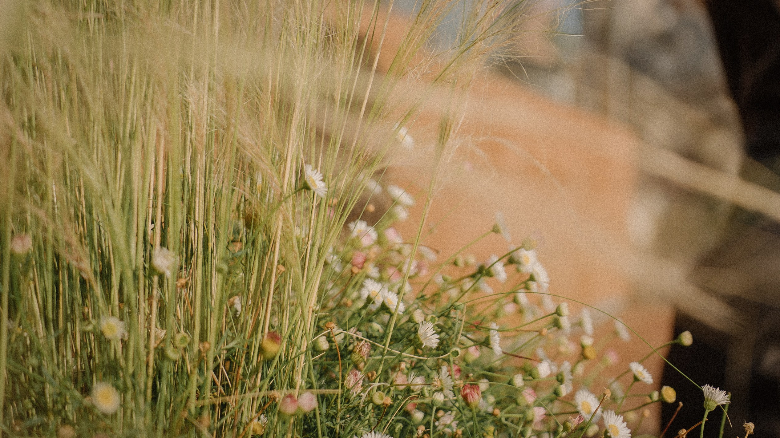 15. Фотограф Батуми | Ксения Кинасова