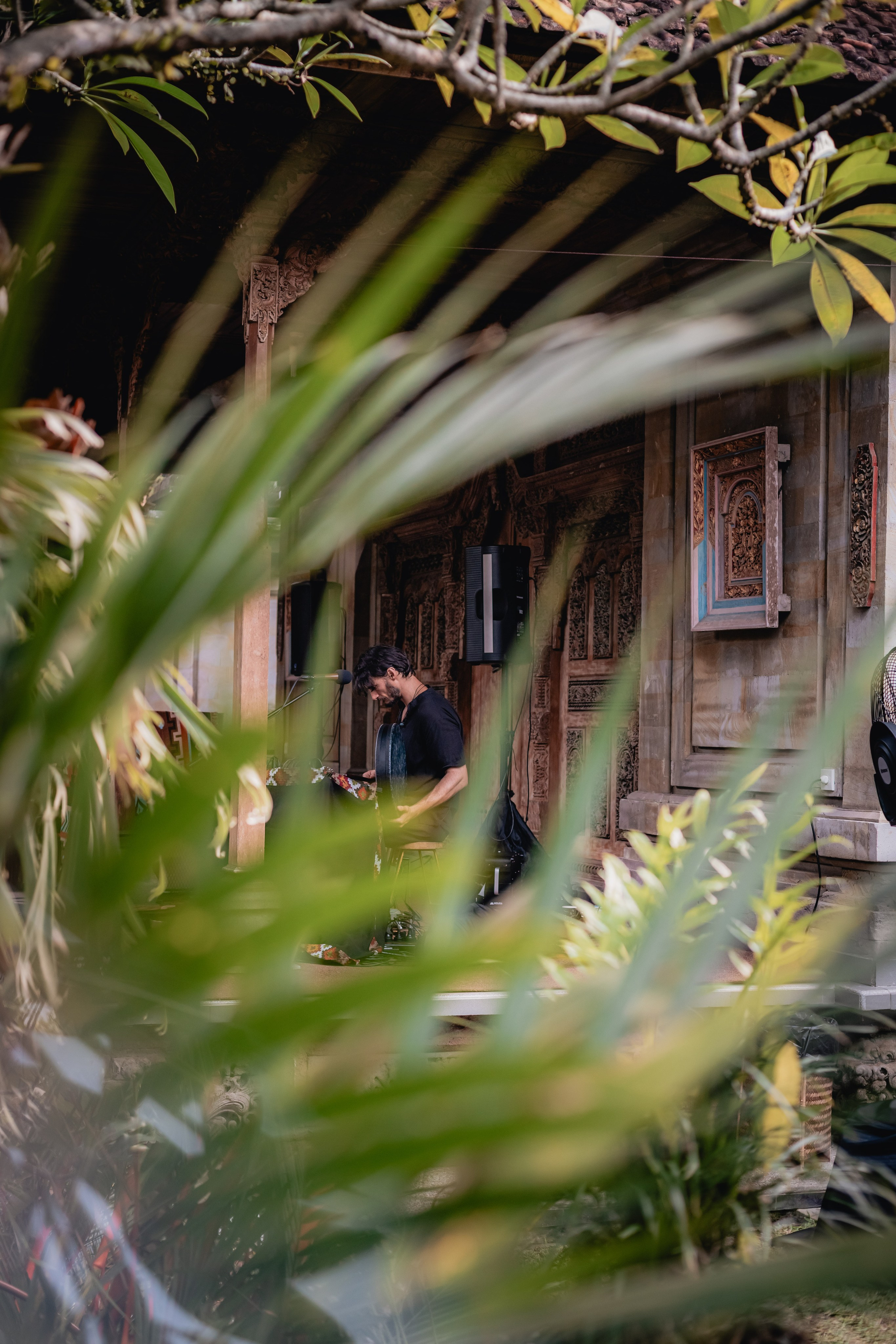 Alegria festival at Zest. Мариам Багдасарян