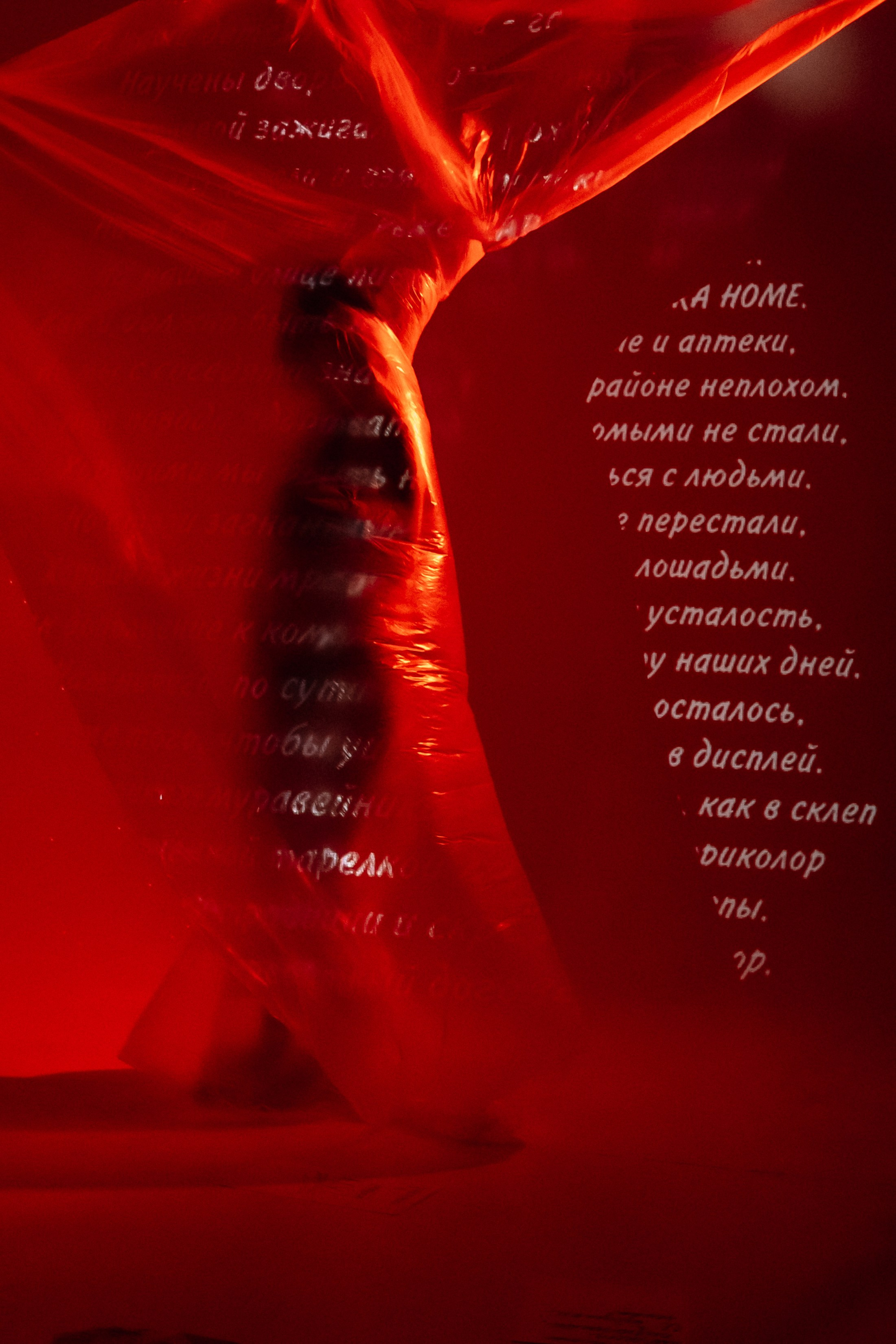 Галерея. Фотограф Анастасия Веселова