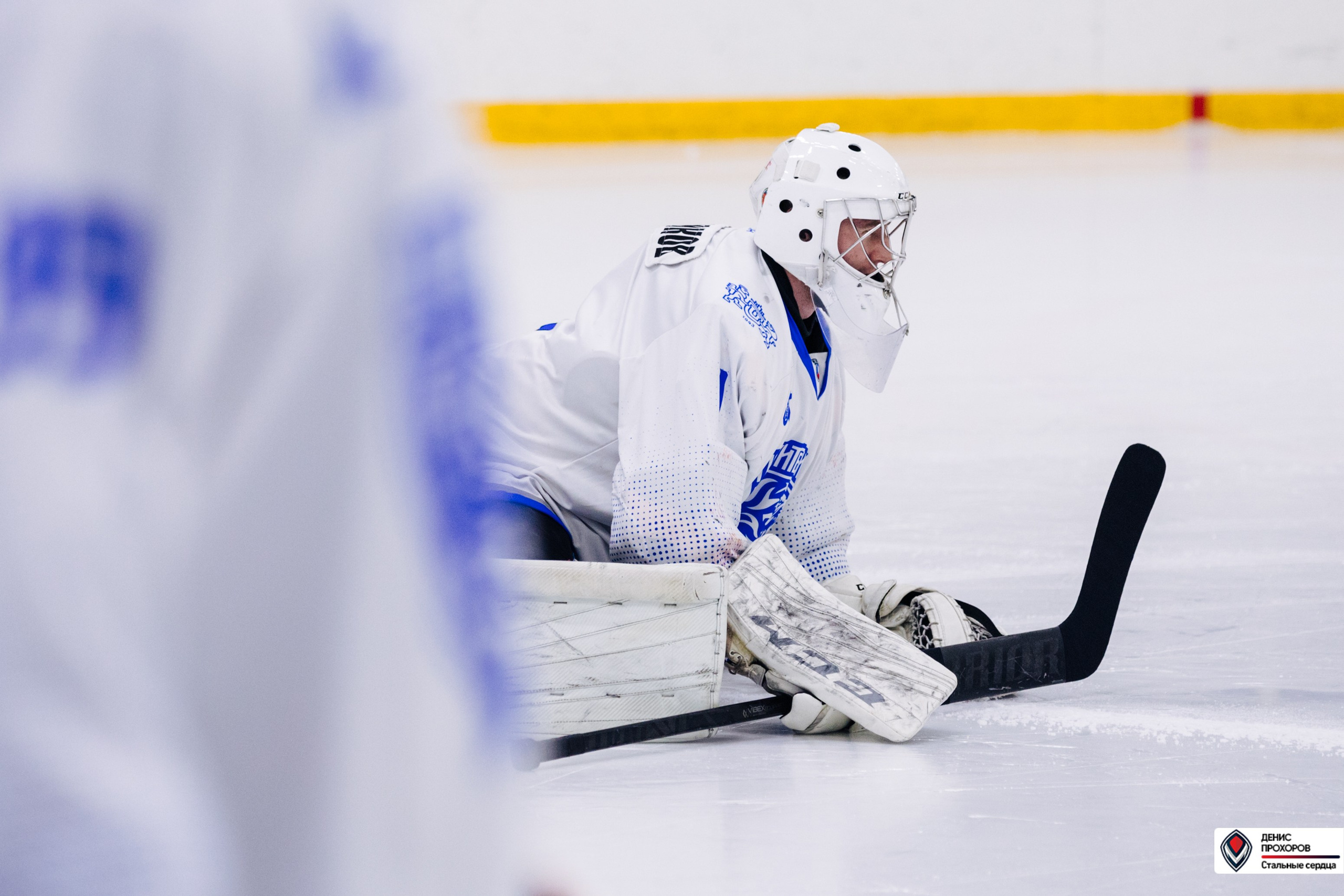 Чемпионат СХЛ // 03.03.24. Денис Прохоров Фотограф в г. Магнитогорск