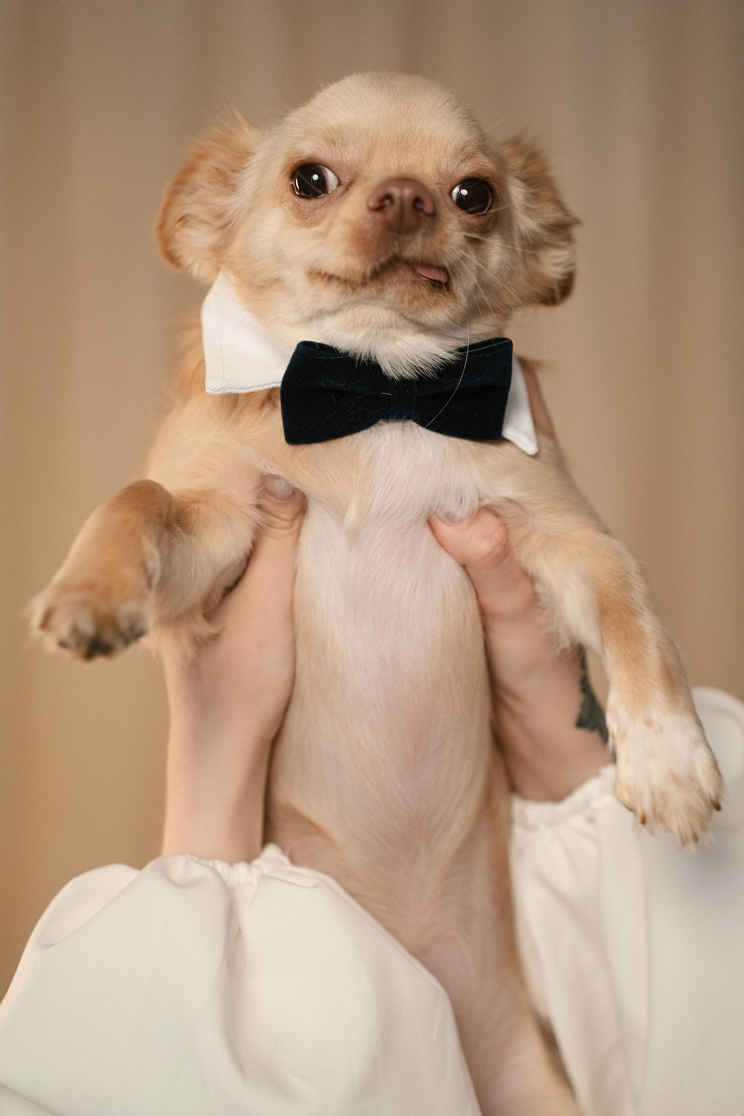 Арсений и Натали. Семейный и портретный фотограф в г. Орск Алишер Азимов