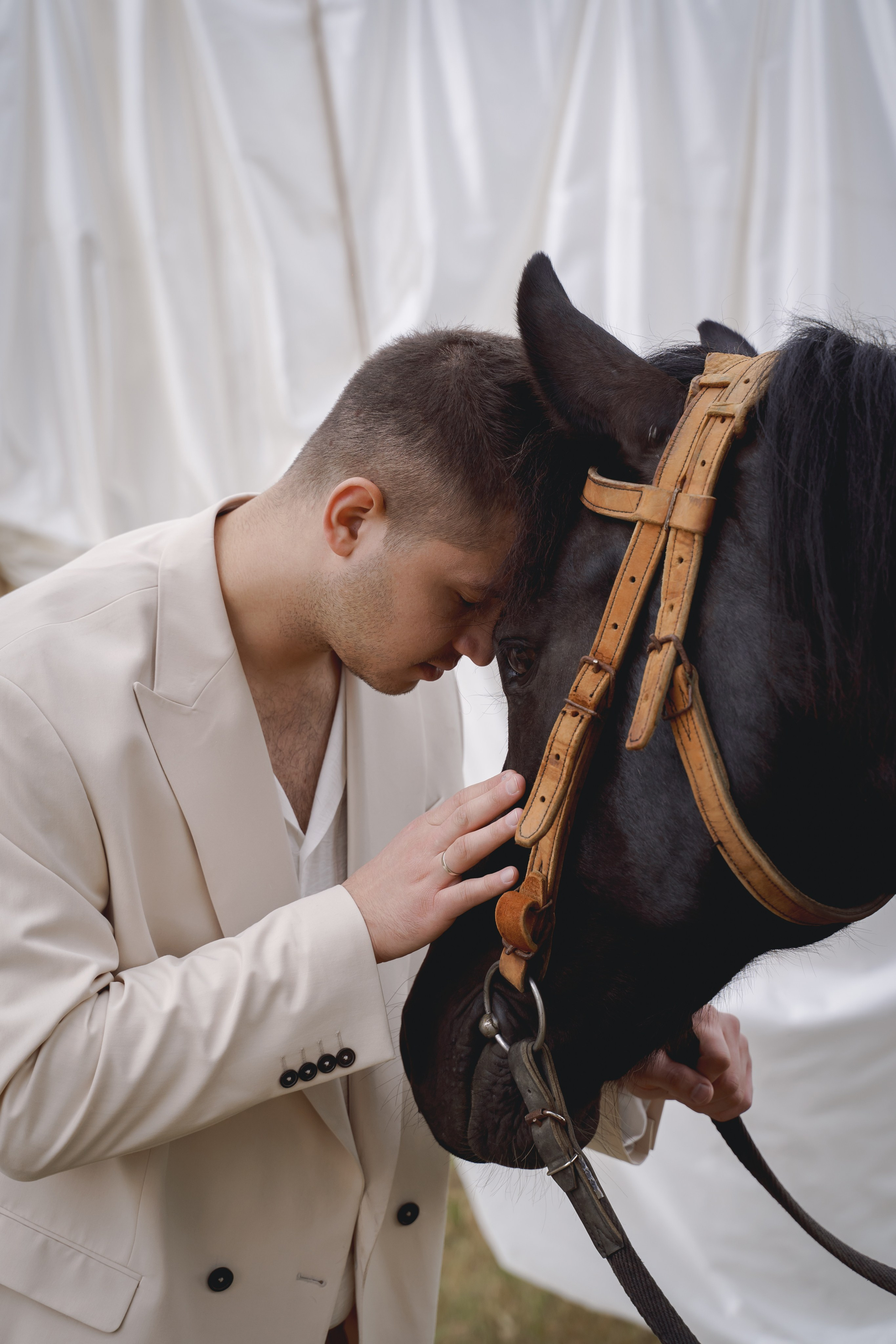 Утренняя прогулка на лошадях в Анапе
