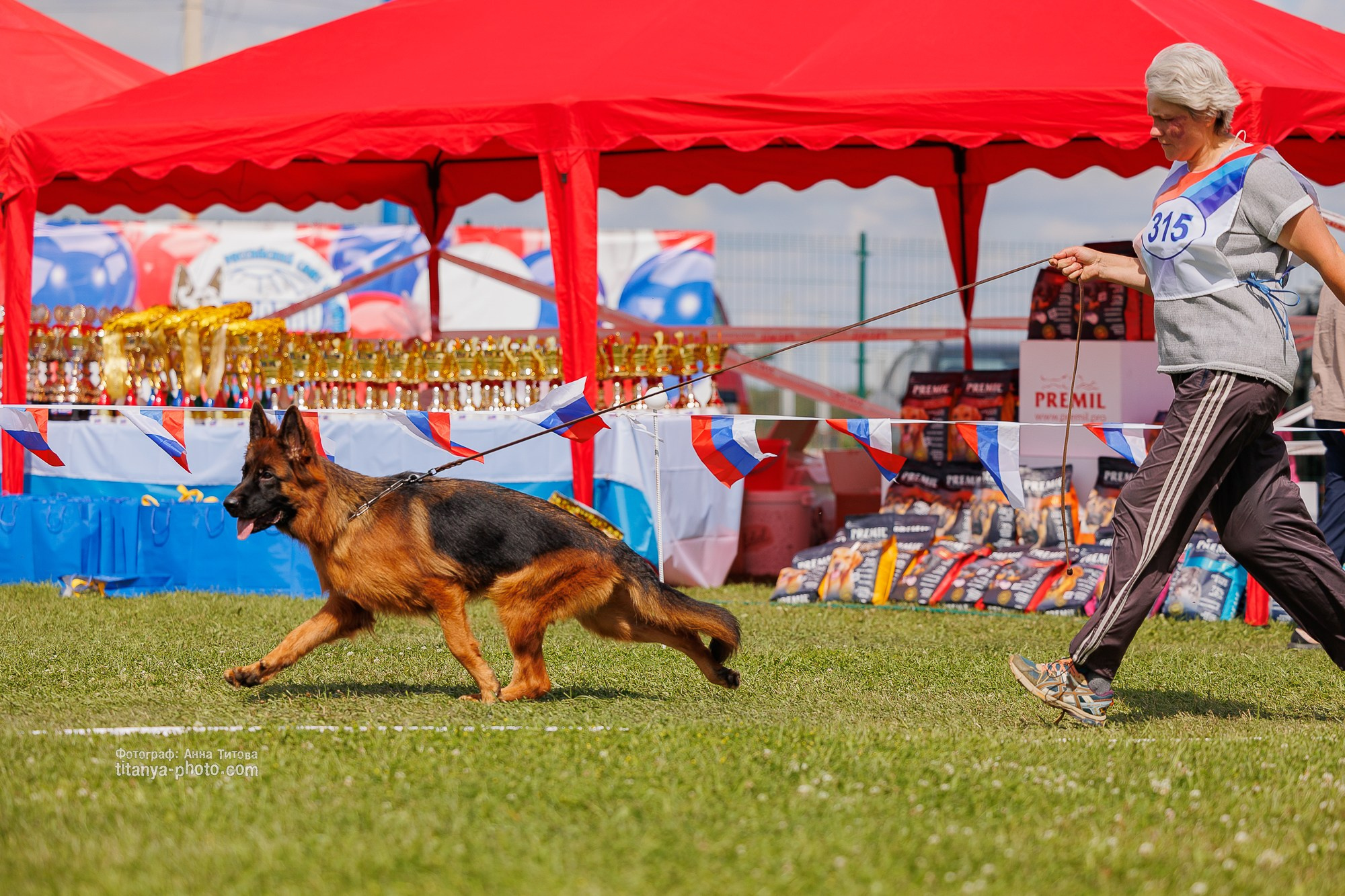 Немецкие овчарки: фото из рингов и вне ринга, мутпроба (фотографии с выставок). Фотограф собак, фотограф-анималист Аня Титова (Titanya). Москва