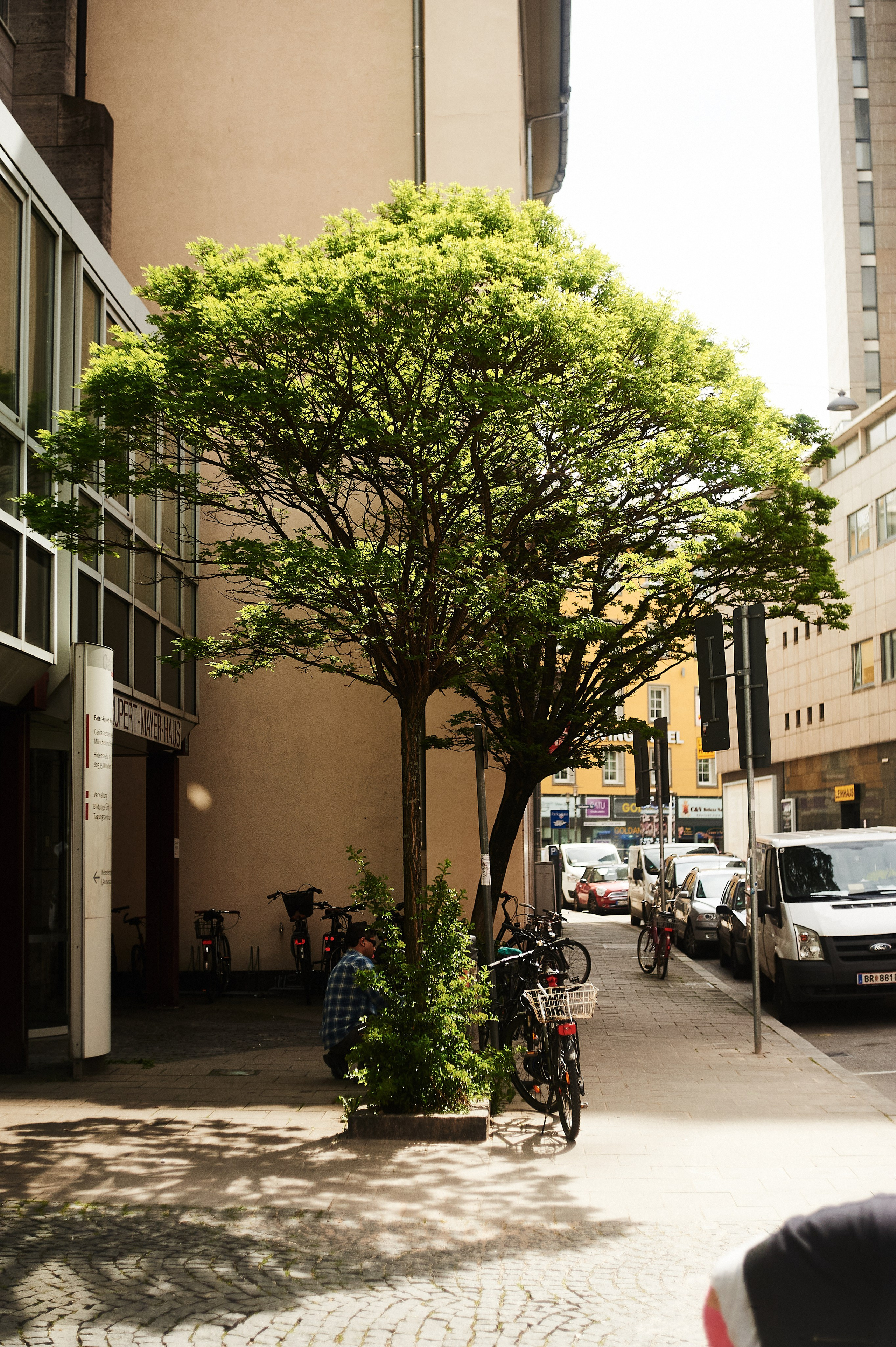 Munich. Свадебный фотограф в Ростове-на-Дону Владимир Пешков