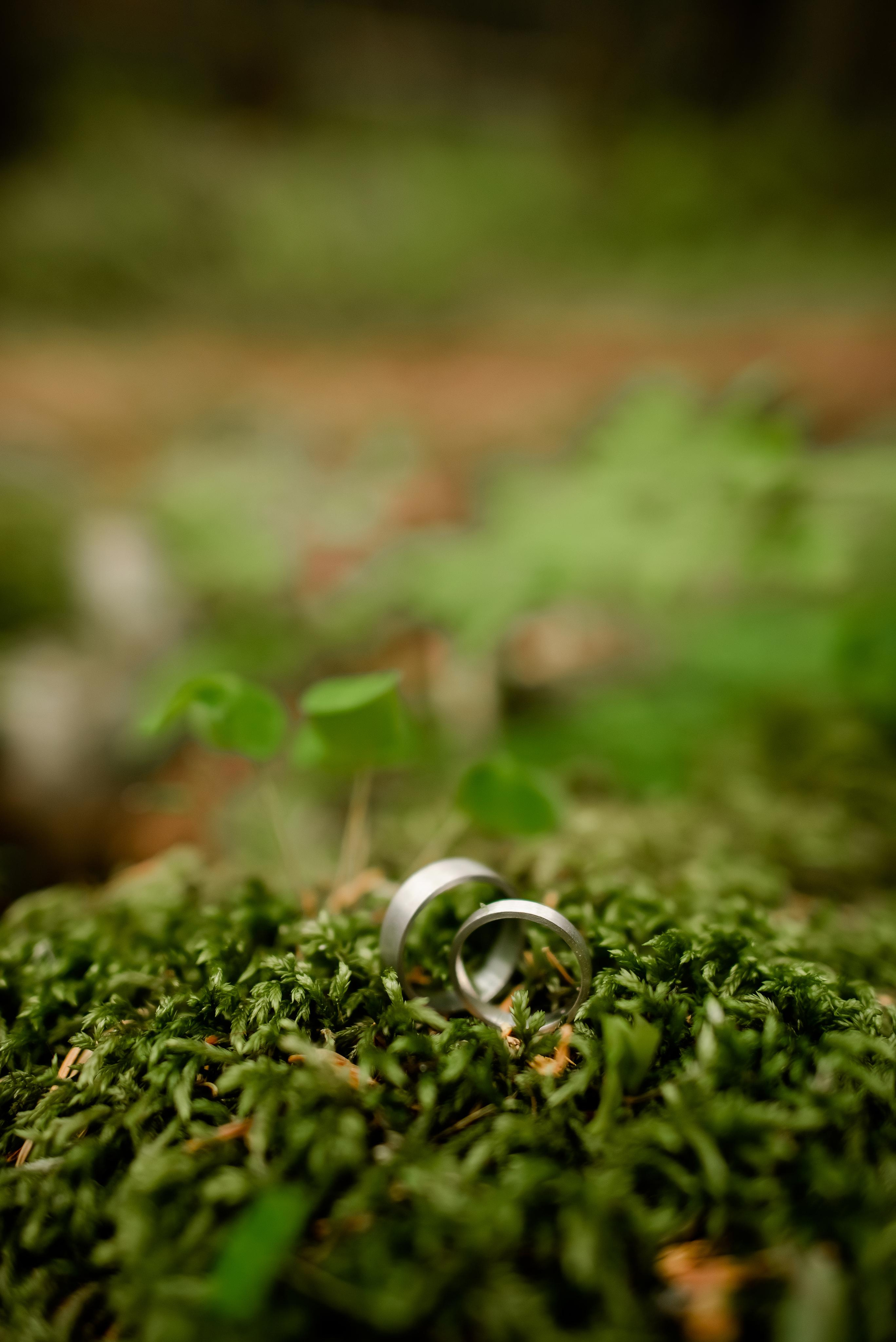 Свадебный фотограф Волгоград Волжский Сочи Домбай. Свадебный и travel фотограф в Волгограде, Сочи, Домбае, Европе