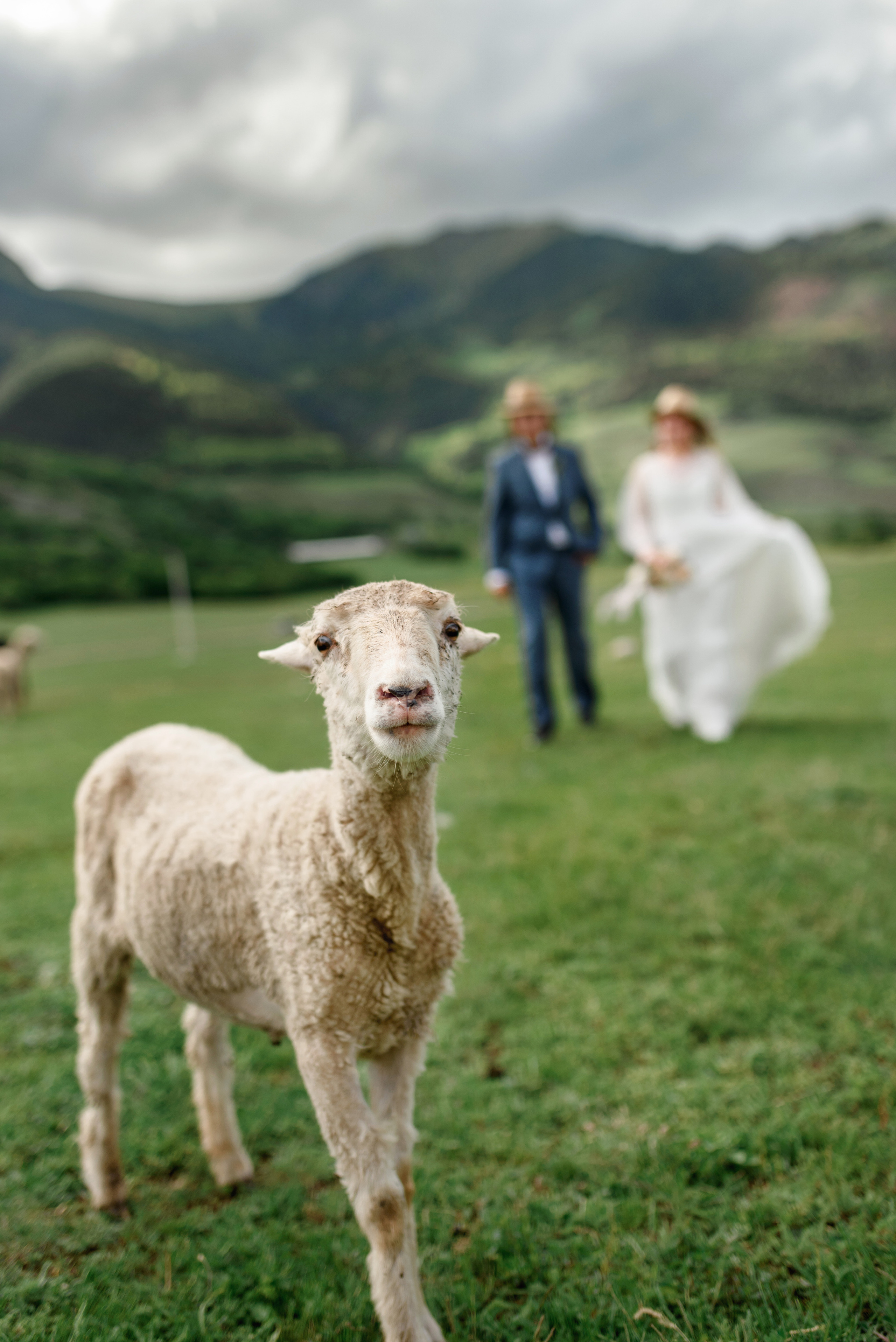 Горные и европейские свадьбы (сборное). Свадебный и travel фотограф в Волгограде, Сочи, Домбае, Европе